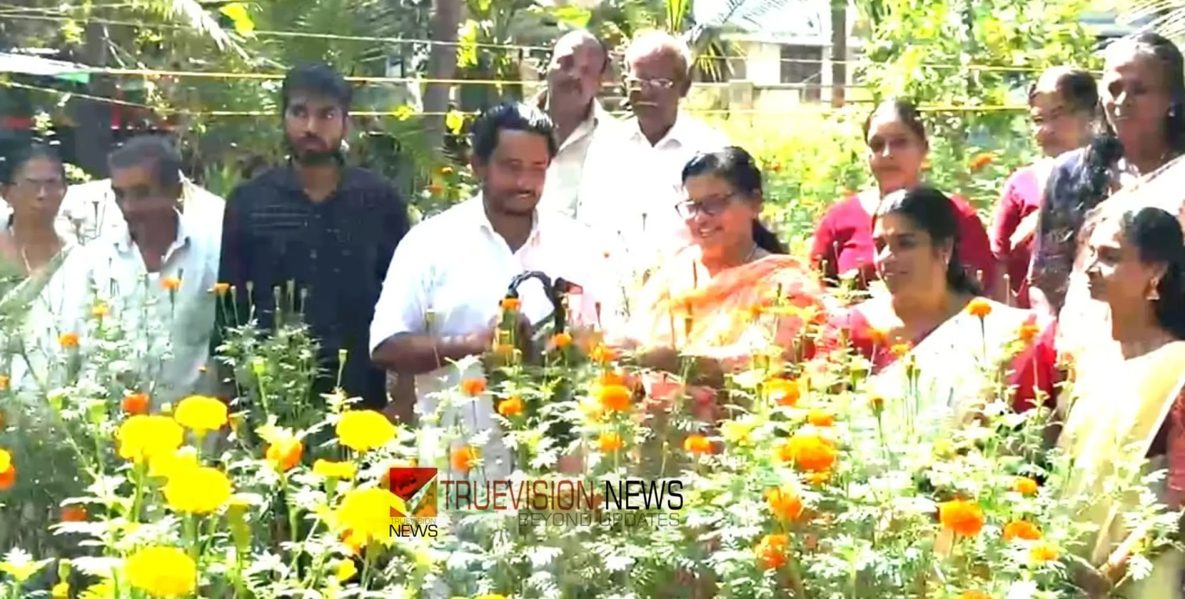  #Mahimakudumbashree | വിളവെടുപ്പ് ഉത്സവമായി; അഴിയൂരിൽ തീരദേശത്തെ ചെണ്ടുമല്ലി കൃഷിയിലും നൂറുമേനി