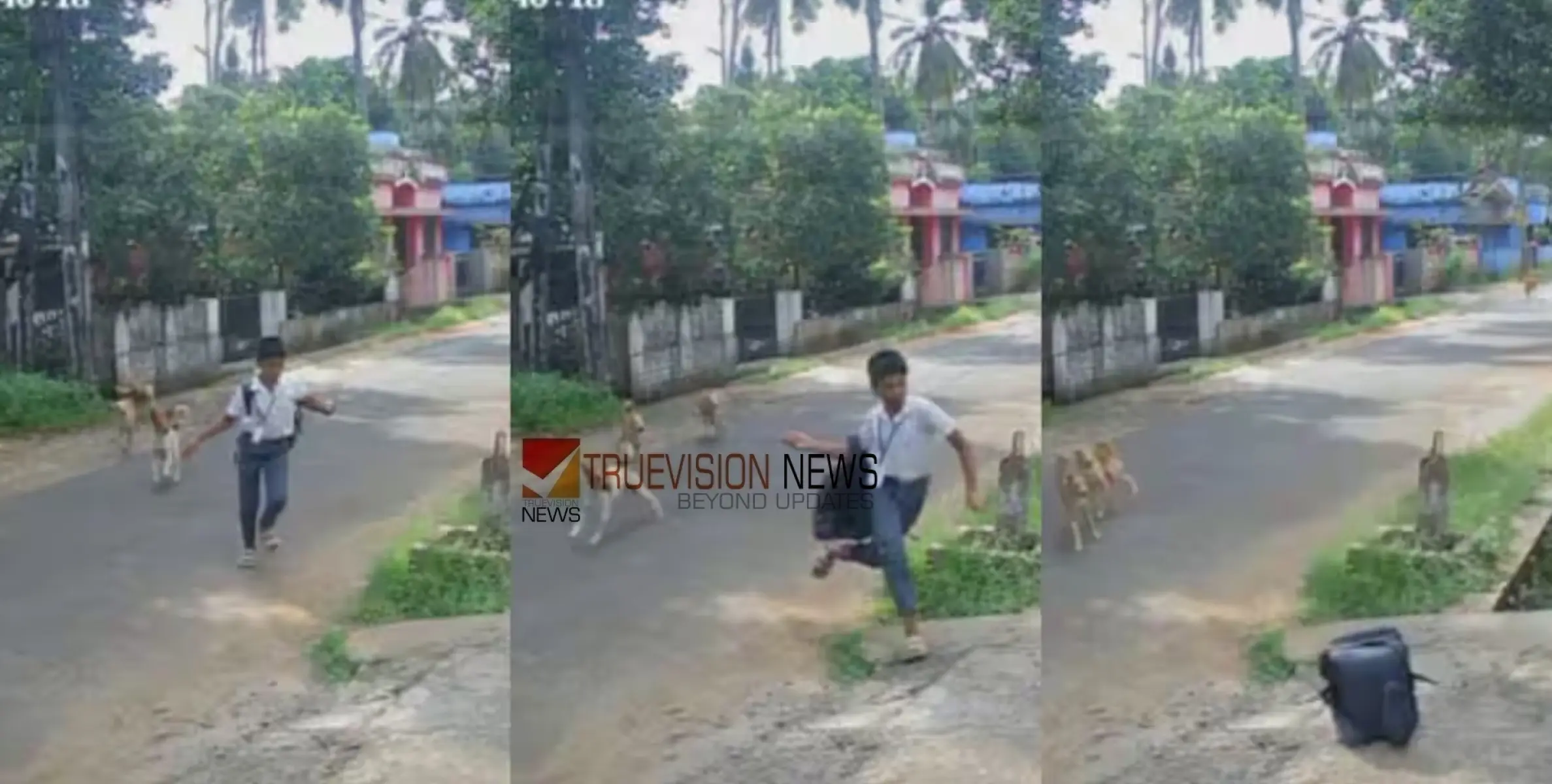 #straydog |  സ്കൂള്‍ വിദ്യാര്‍ത്ഥിക്കുനേരെ പാഞ്ഞടുത്ത് തെരുവുനായകള്‍,  രക്ഷപ്പെട്ടത് തലനാരിയഴ്ക്ക് 