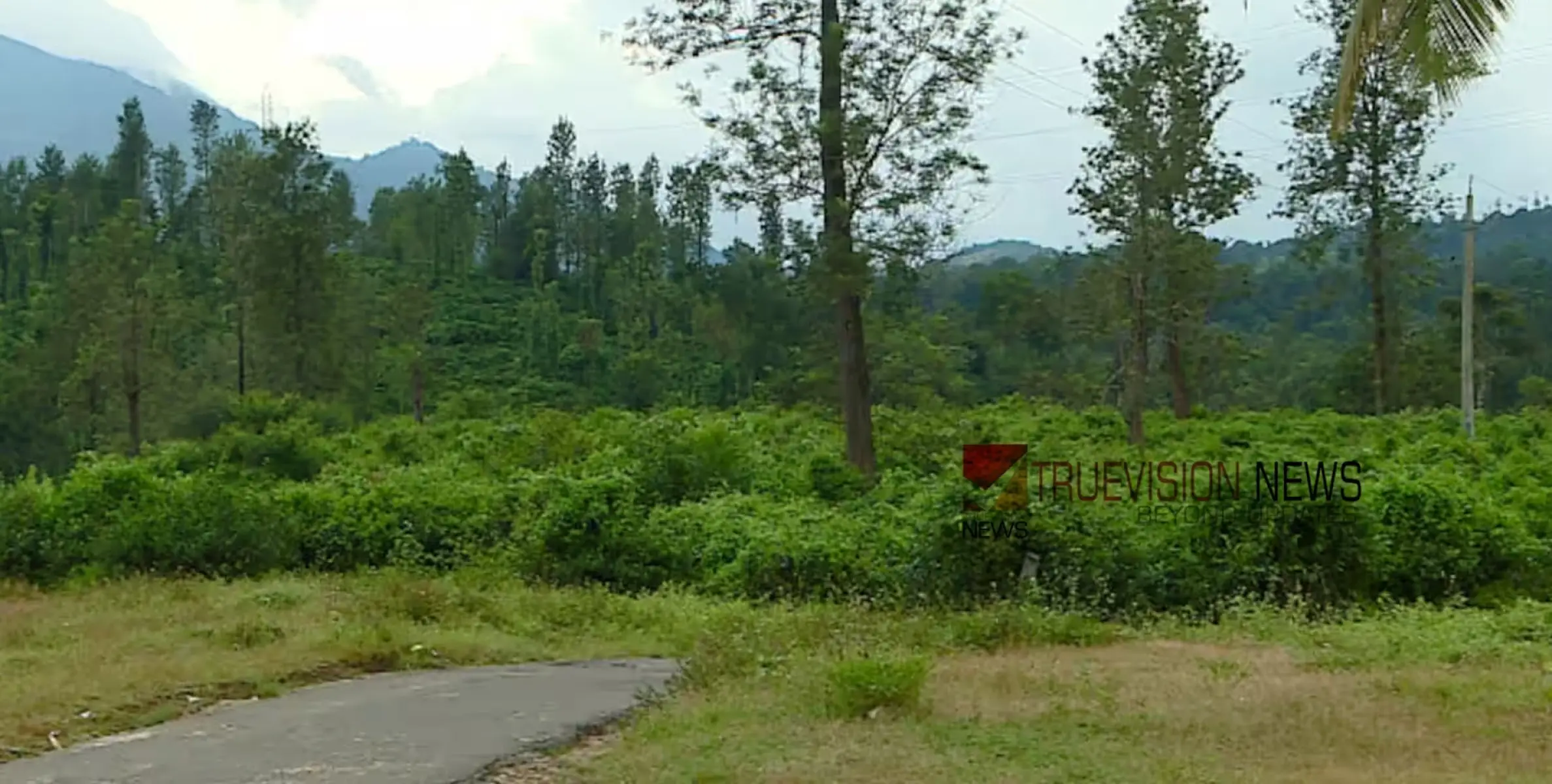 #wayanadlandslide | വയനാട്ടിൽ ടൗൺഷിപ്പ് രണ്ടിടത്ത് പരിഗണനയിൽ; ദുരന്തബാധിതരുടെ പ്രാഥമിക പട്ടിക ഒരാഴ്ചക്കുള്ളില്‍ പൂര്‍ത്തിയാക്കാൻ ശ്രമം