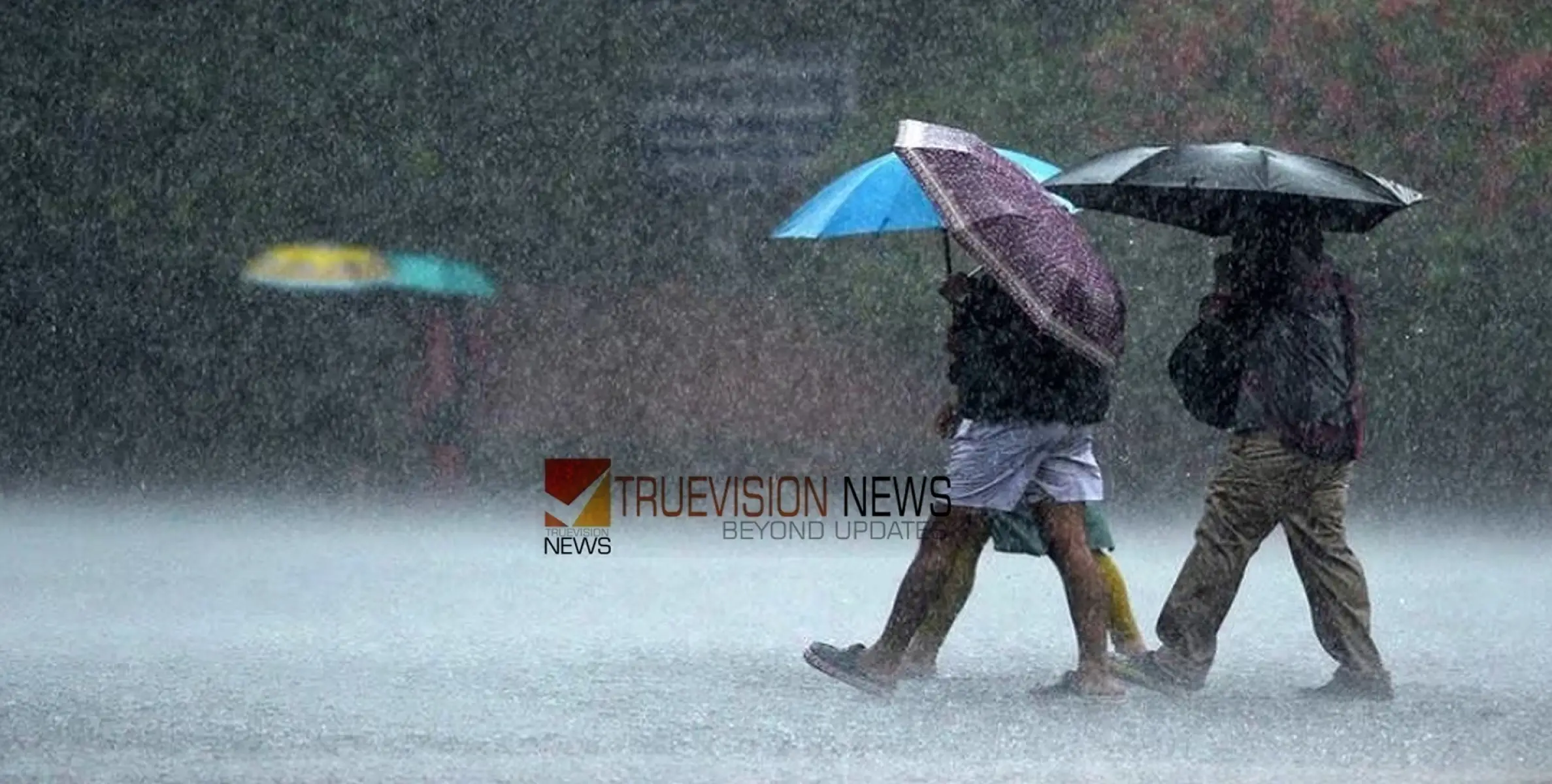 #rain |  കേരളത്തിൽ അടുത്ത ഏഴ് ദിവസം വ്യാപക മഴയ്ക്ക് സാധ്യത, ഇന്ന് നാല് ജില്ലകളിൽ യെല്ലോ അലേർട്ട് 