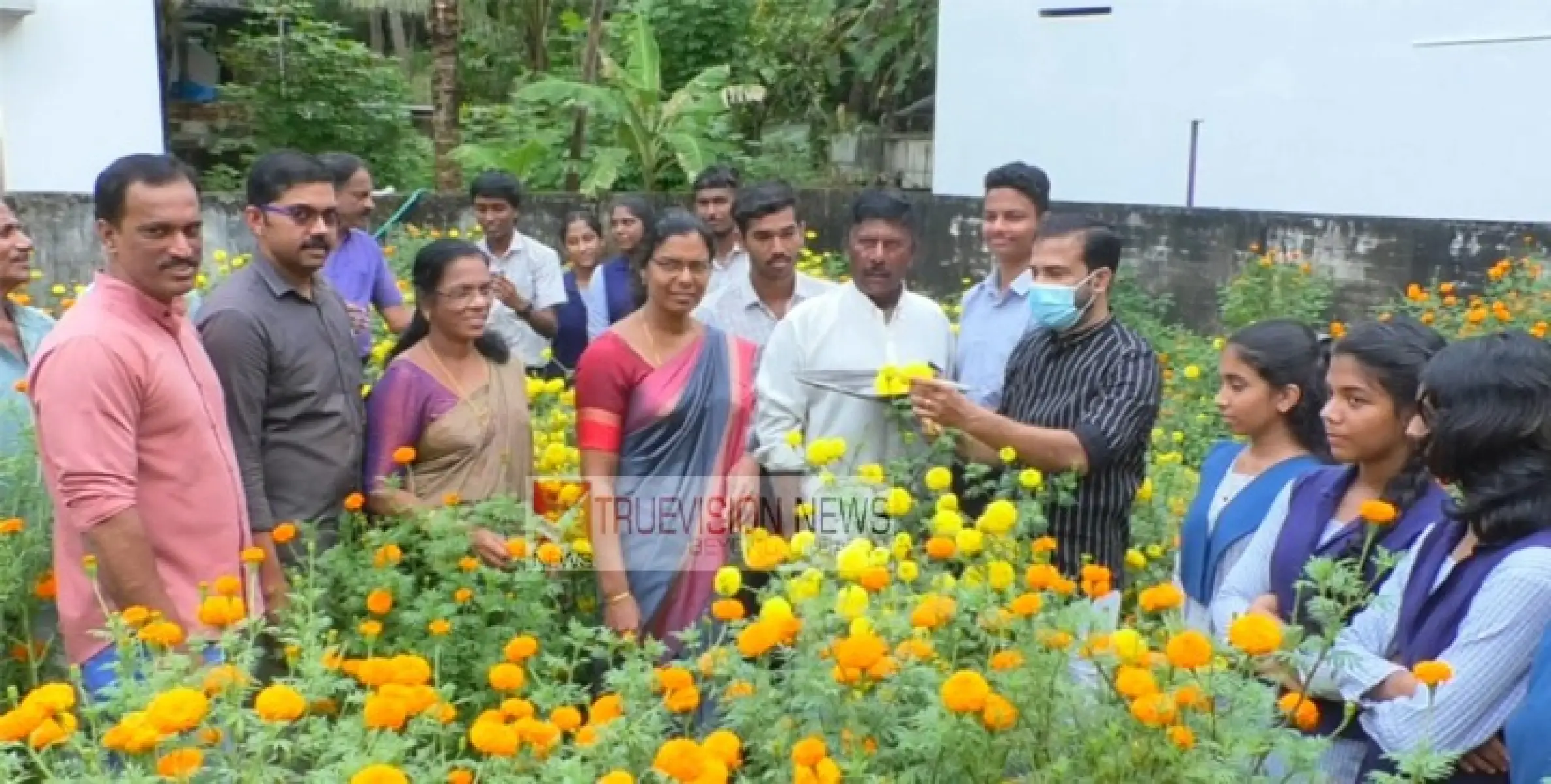 പൊന്ന്യത്തെ ചെണ്ടുമല്ലി കൃഷി വിളവെടുത്തു ; വിറ്റു കിട്ടുന്ന പണം മുഴുവൻ നിർധന കുടുംബത്തിൻ്റെ വീട് നിർമ്മാണത്തിന്