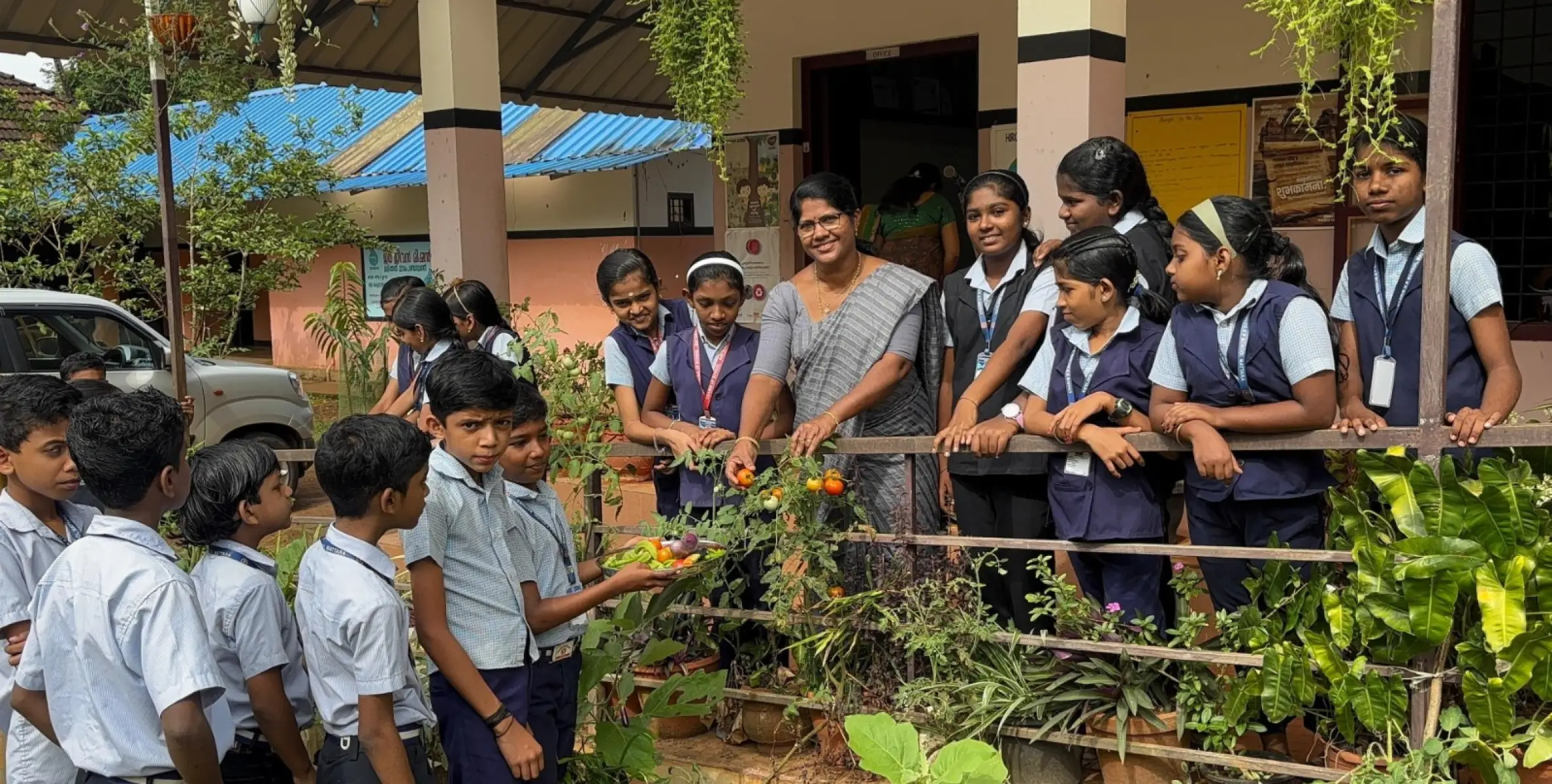 പച്ചക്കറി വിളവെടുപ്പുത്സവം സംഘടിപ്പിച്ചു