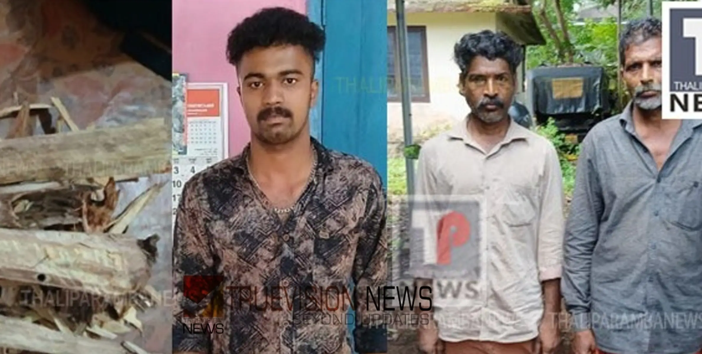 #arrest | ചന്ദന മാഫിയ സംഘത്തിലെ സുപ്രധാന കണ്ണികൾ തളിപ്പറമ്പ് ഫോറസ്റ്റിന്റെ പിടിയിലായി