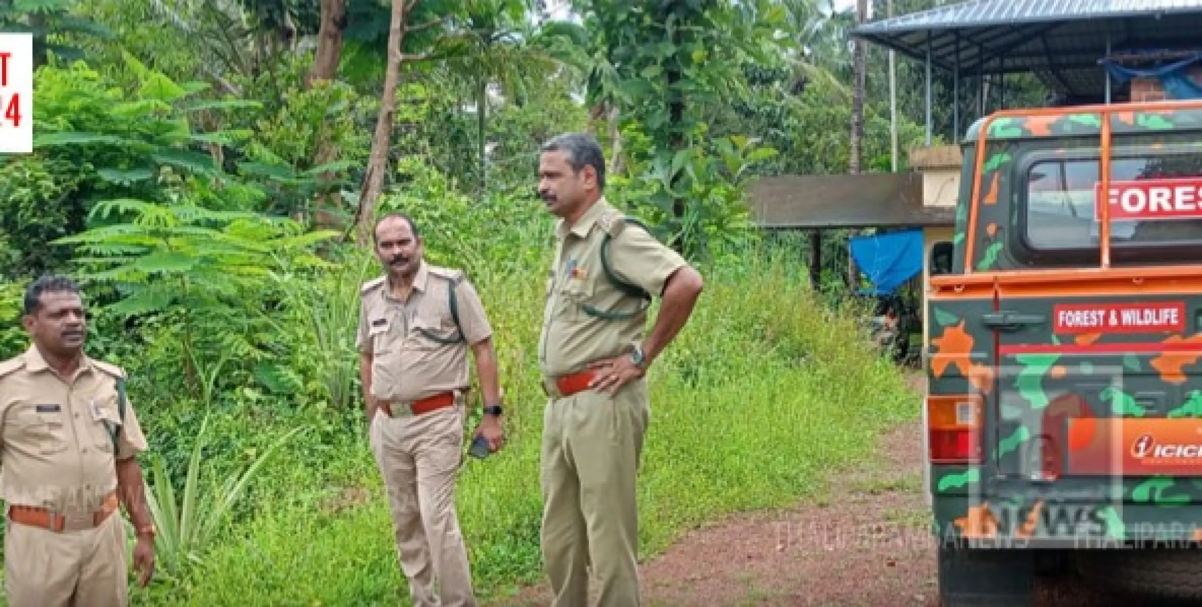 പുളിമ്പറമ്പ് കണികുന്ന് ഭാഗങ്ങളിൽ പുലിയെ കണ്ടതായി അഭ്യൂഹം, ഫോറസ്റ്റ് അധികൃതർ സ്ഥലം സന്ദർശിച്ചു