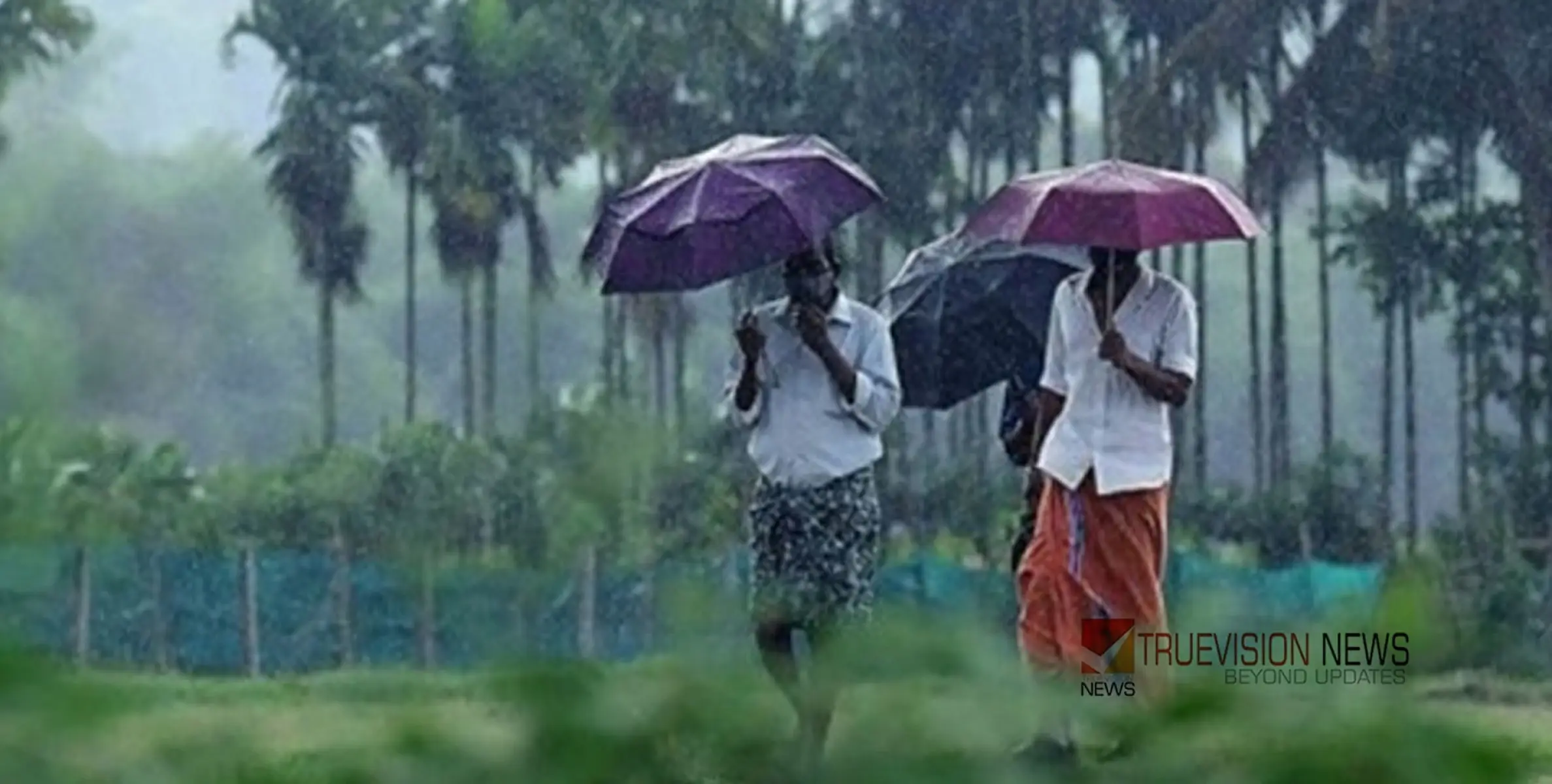 #KERALARAIN | ജാഗ്രത നിർദ്ദേശം; കോഴിക്കോട്, വയനാട്, കണ്ണൂർ ഉൾപ്പെടെ 12 ജില്ലകളിൽ യെല്ലോ അലർട്ട്, പുതിയ മഴ അറിയിപ്പ് ഇങ്ങനെ 