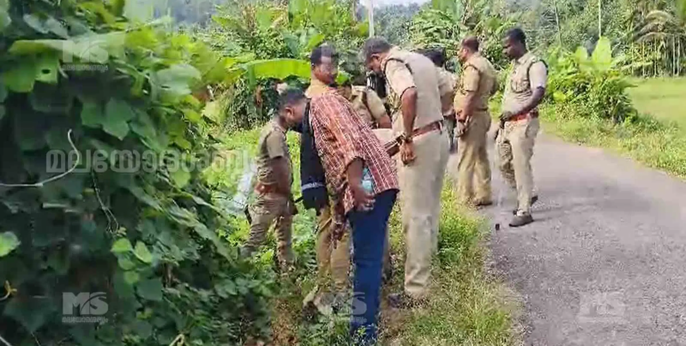 തളിപ്പറമ്പിൽ വന്നത് പുലി തന്നെയെന്ന് വനം വകുപ്പ്; ക്യാമറ സ്ഥാപിക്കാൻ നീക്കം