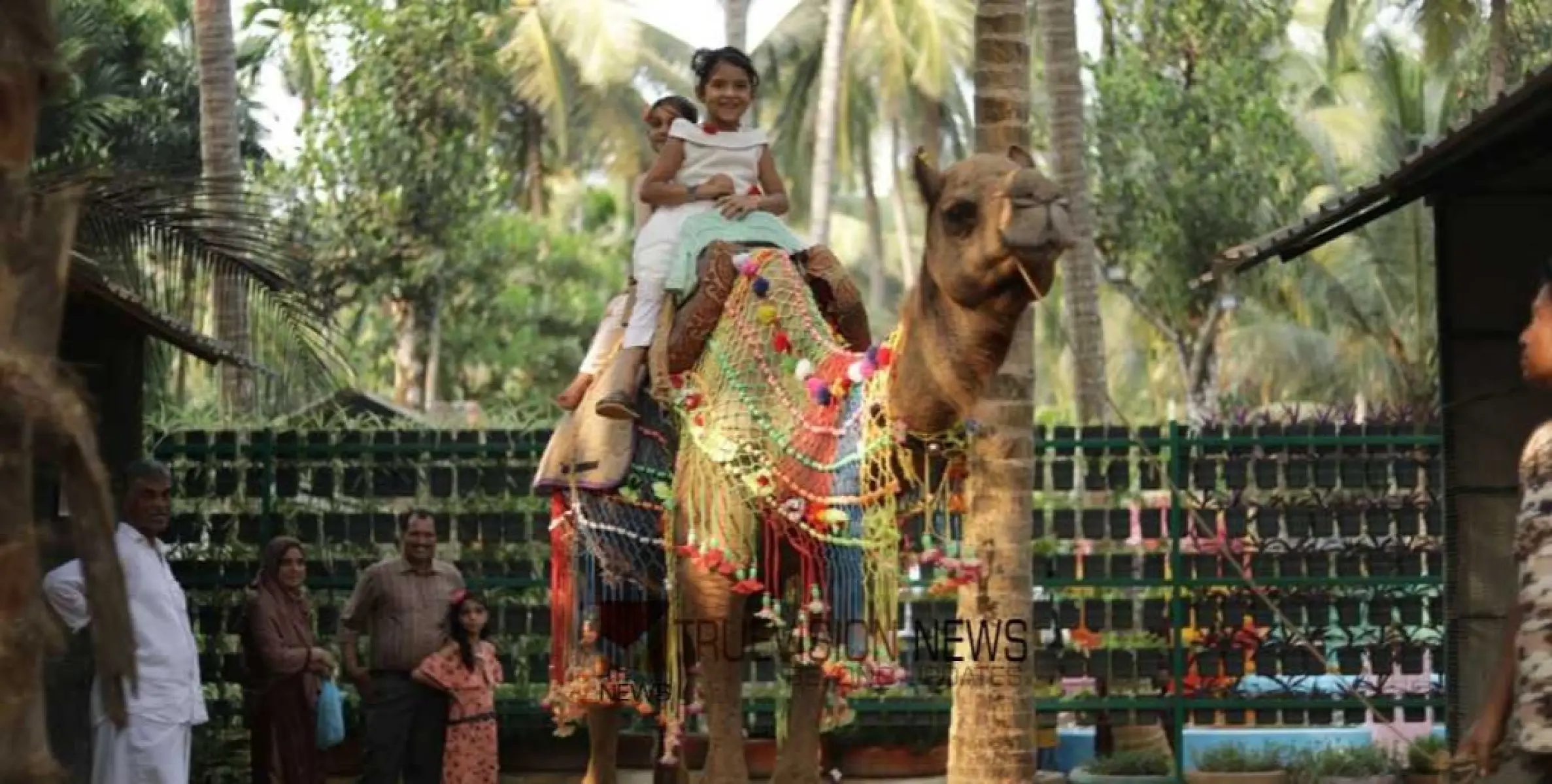 മിതമായ നിരക്ക്; മികച്ച ഫാമിലി പാക്കേജുകൾ, വിനോദത്തിന്  ഇനി ചെലവേറില്ല 