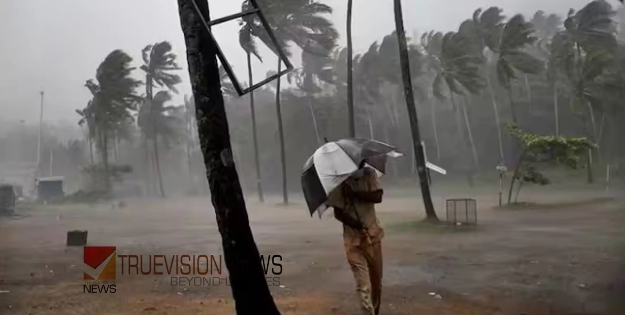 #rain |  കേരളത്തിൽ ശക്തമായ മഴയ്ക്കും കാറ്റിനും സാധ്യത; അഞ്ച് ജില്ലകളില്‍ യെല്ലോ അലര്‍ട്ട്