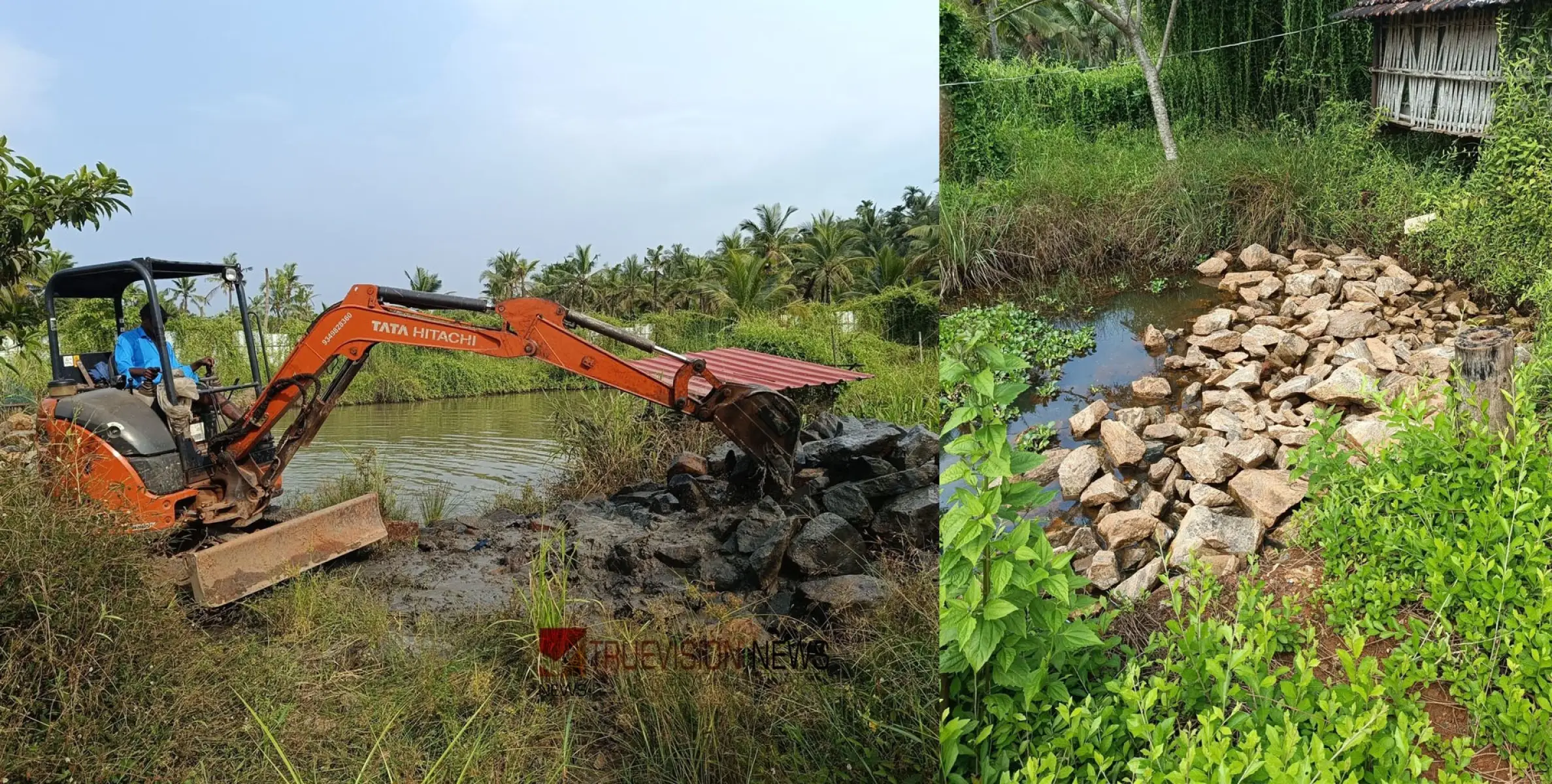 #BJP | മുട്ട് മടക്കി; നികത്തിയ തണ്ണീർത്തടം  തിരികെ കോരി എടുപ്പിച്ച് ബിജെപി പ്രവർത്തകർ