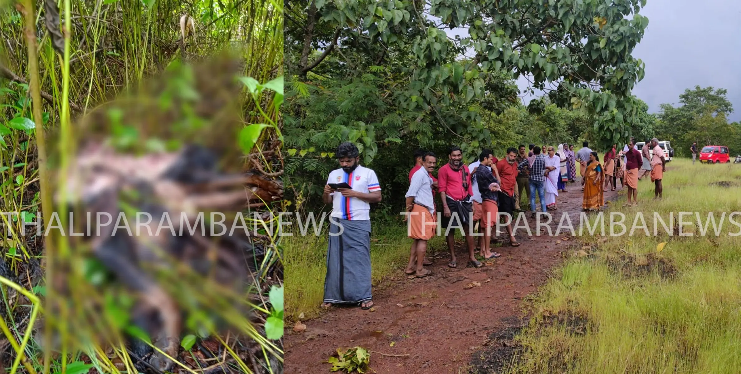 കക്കറ കരിമണലിൽ പുലി ഇറങ്ങിയതായി സംശയം:  കാണാതായ വളർത്തുനായയുടെ ജഡം കണ്ടെത്തി