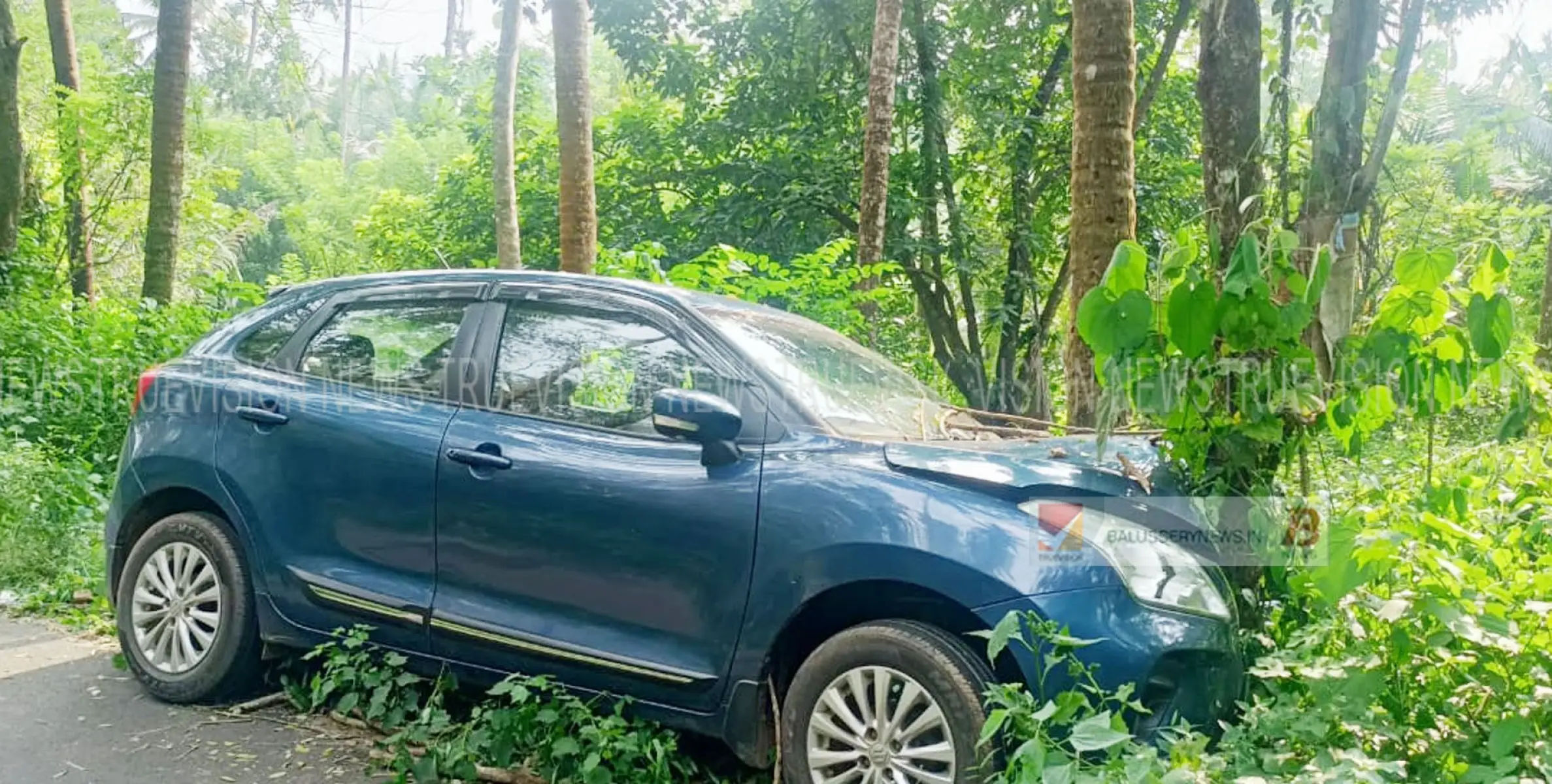 വിനോദ സഞ്ചാരികൾ സഞ്ചരിച്ച കാർ മരത്തിൽ ഇടിച്ച് അപകടത്തിൽപ്പെട്ടു