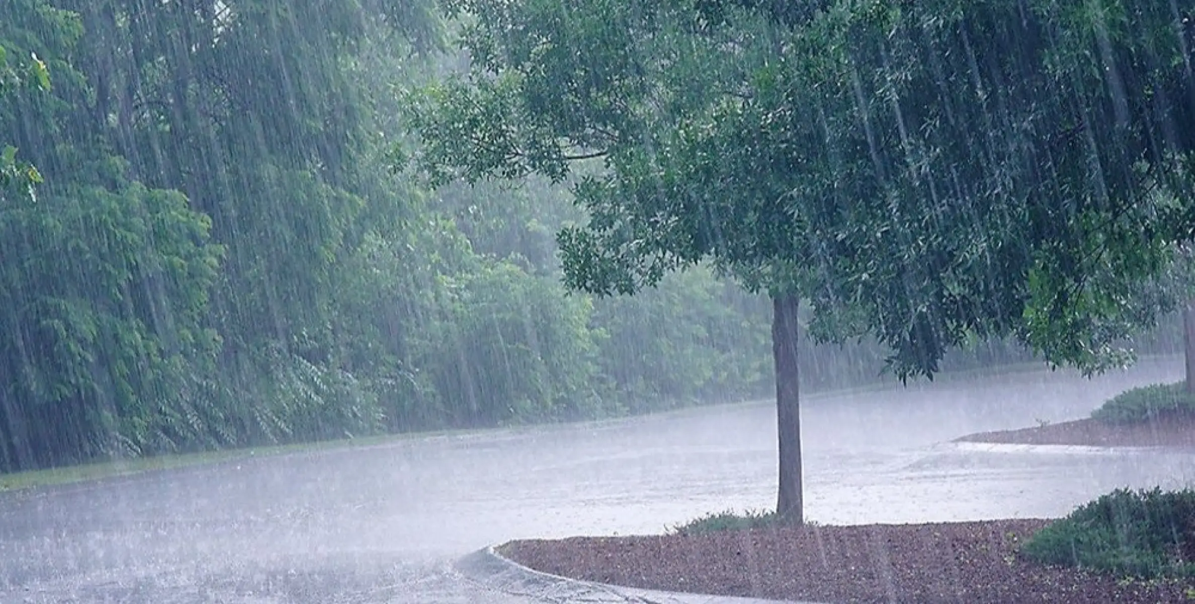 നാളെ മുതൽ ശക്തമായ മഴയ്ക്ക് സാധ്യതയെന്ന് കാലാവസ്ഥ മുന്നറിയിപ്പ്