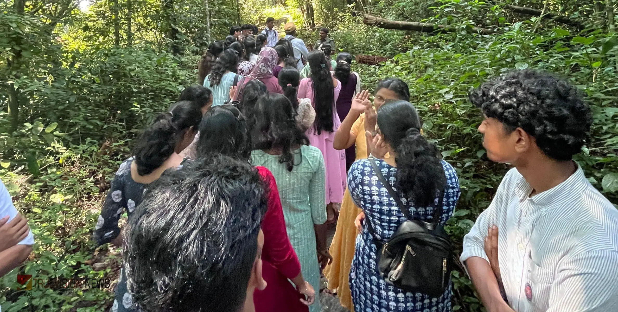 #Emjjohnmemoriyalhighersecondaryschool | ജാനകി കാട്ടിലേക്ക്;  പ്രകൃതി പഠനയാത്ര സംഘടിപ്പിച്ച്  എ.ജെ ജോൺ മെമ്മോറിയൽ ഹയർ സെക്കൻഡറി സ്കൂൾ വിദ്യാർത്ഥികൾ 