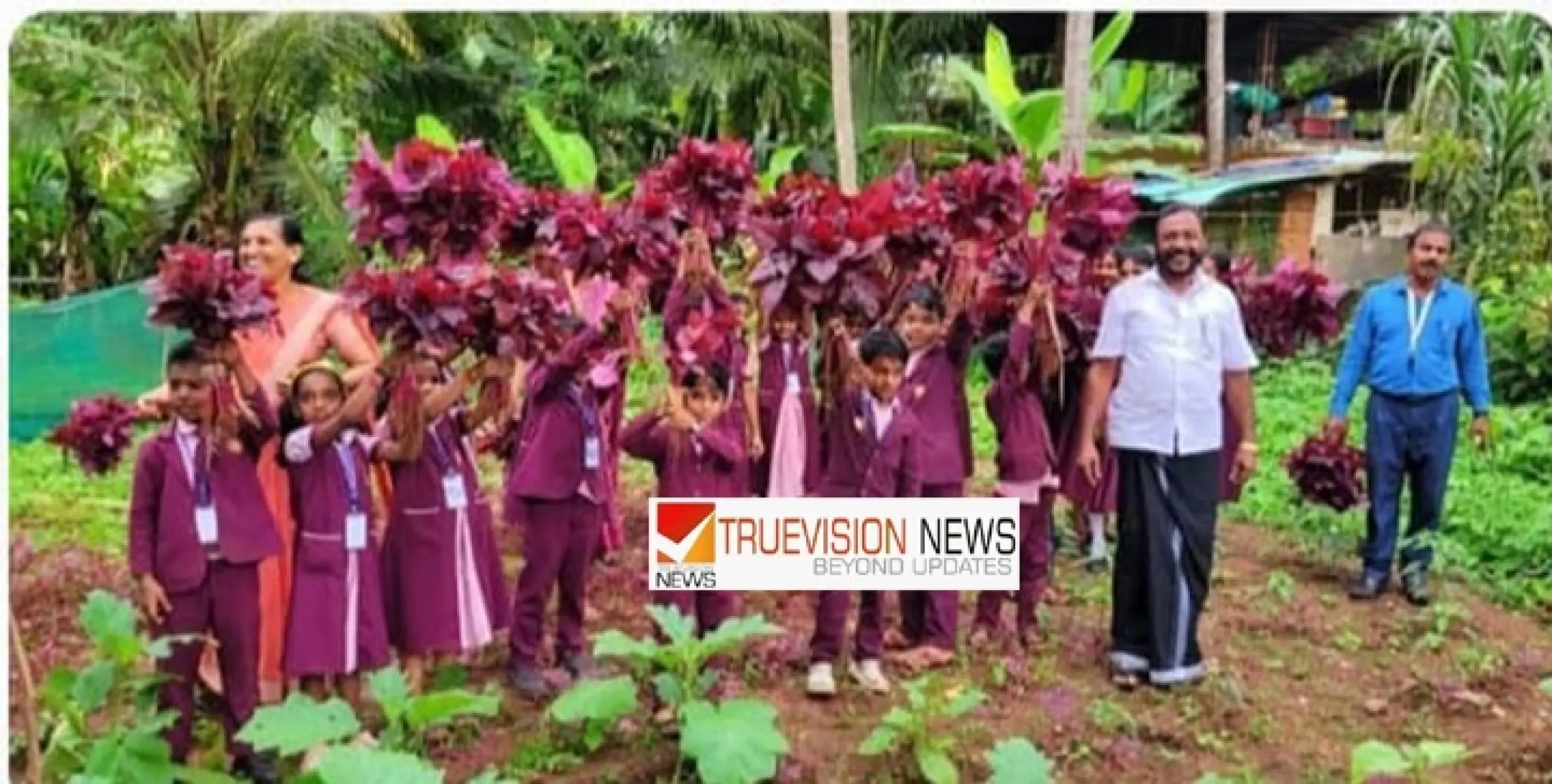 പഠനത്തോടൊപ്പം, കൃഷിയും ; പാനൂർ  ശ്രീനാരായണ ഇംഗ്ലീഷ് മീഡിയം യു.പിയിൽ മികവിൻ്റെ നൂറ് മേനി