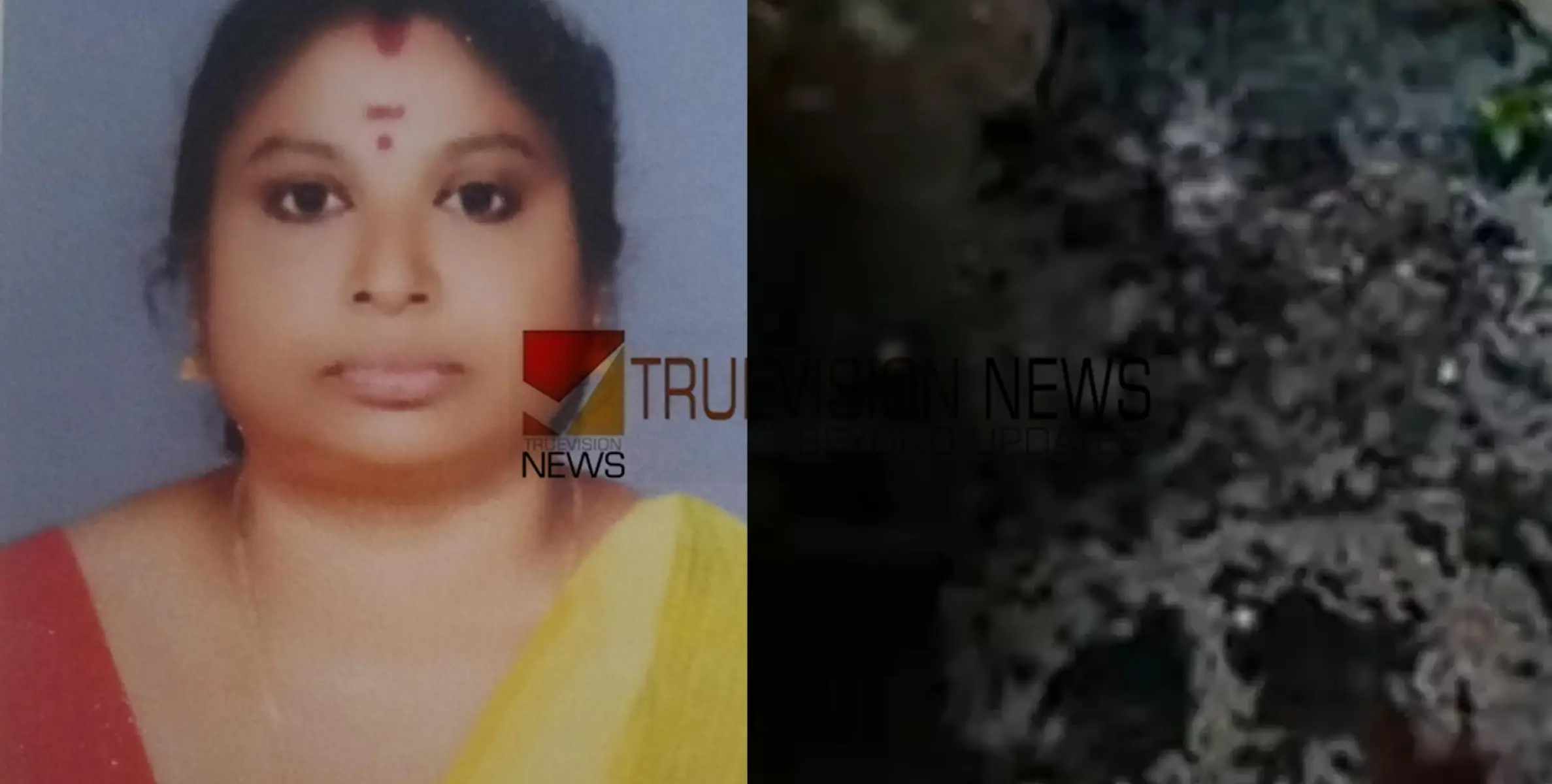 #vijayalakshmimurder |മറ്റൊരാളുമായി ബന്ധമുണ്ടെന്ന് സംശയം, ഫോൺ കണ്ടെത്തിയത് കണ്ണൂരിലേക്കുള്ള  ബസിൽ, കൊലപാതകത്തിൽ കൂടുതൽ വിവരങ്ങൾ