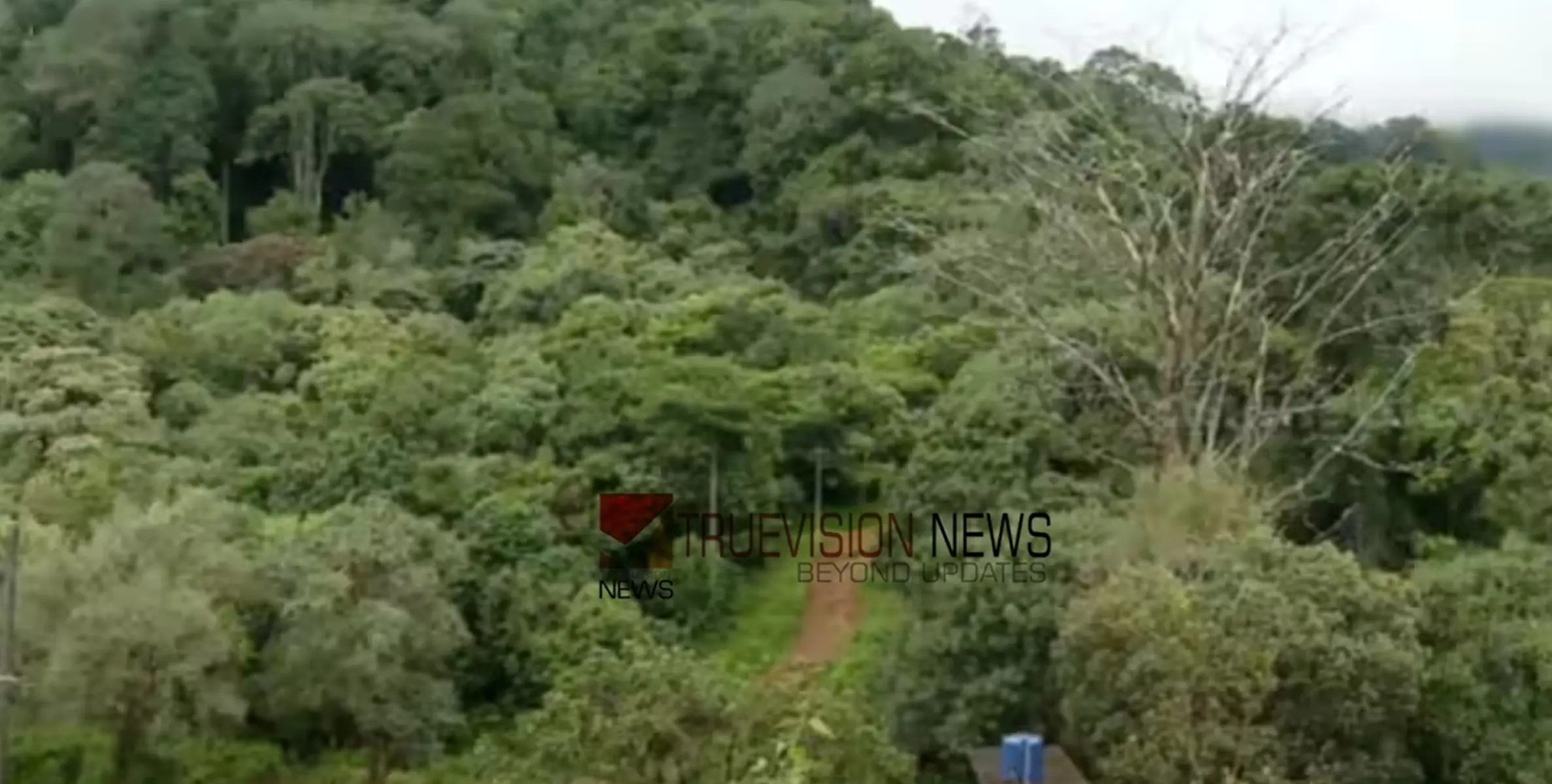 #Sabarimala  | 20 ശബരിമല തീർത്ഥാടകർ വനത്തിൽ കുടുങ്ങി, രണ്ട് പേർക്ക് ശാരീരിക അസ്വസ്ഥത