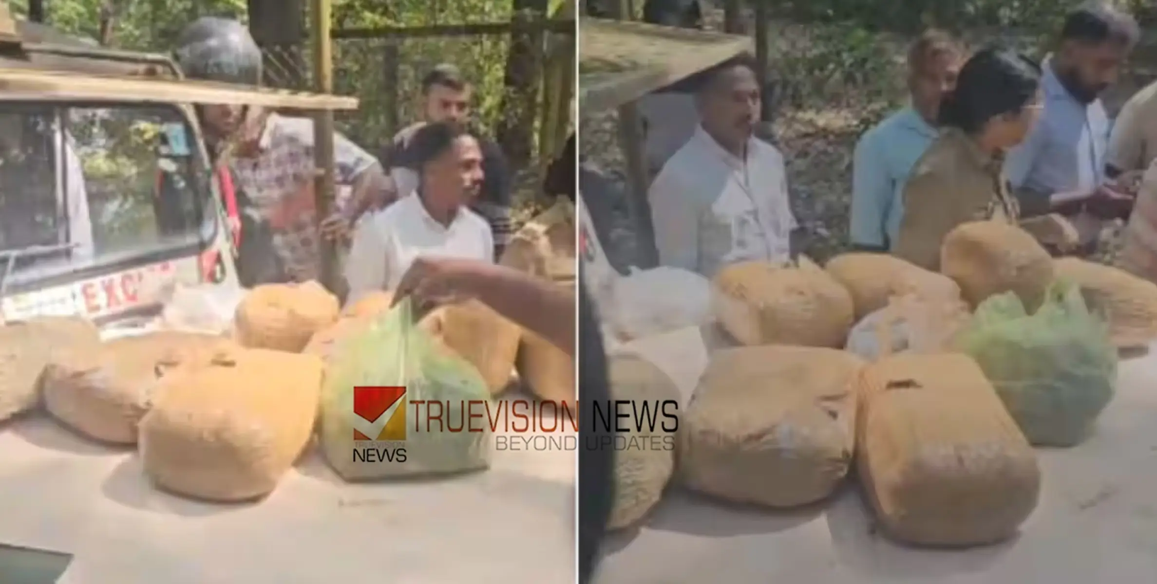 #arrest | രഹസ്യ വിവരം, രണ്ടിടങ്ങളിലായി പരിശോധന; പിടികൂടിയത് 35.8 കിലോഗ്രാം കഞ്ചാവ്, ബംഗാൾ സ്വദേശികൾ പിടിയിൽ