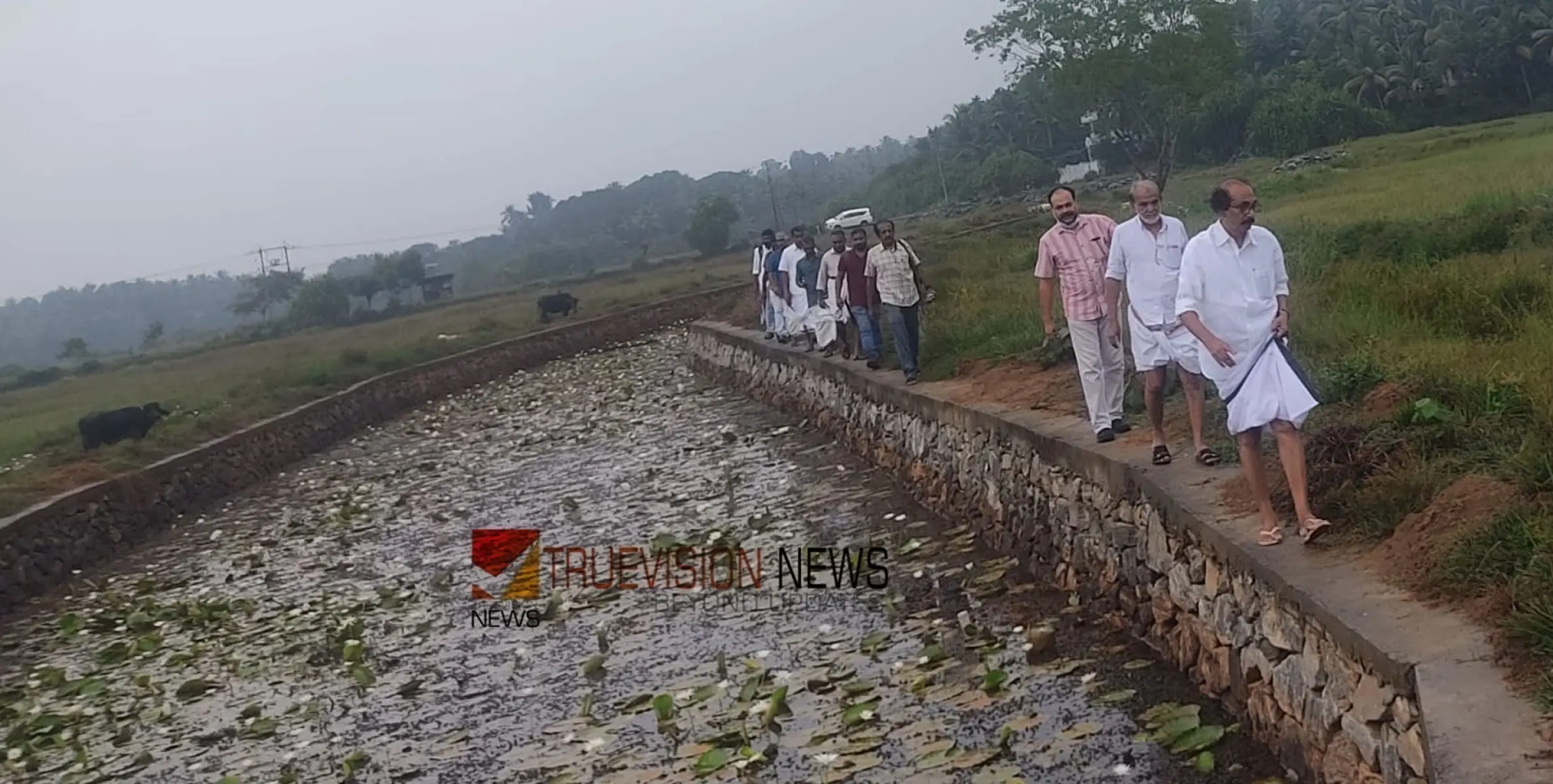 #watershedproject | തരിശ് പാടങ്ങൾ കതിരണിയും; ആയഞ്ചേരി, വേളം പാടശേഖരങ്ങളിലെ നീർത്തട പദ്ധതി ആരംഭിക്കുന്നു