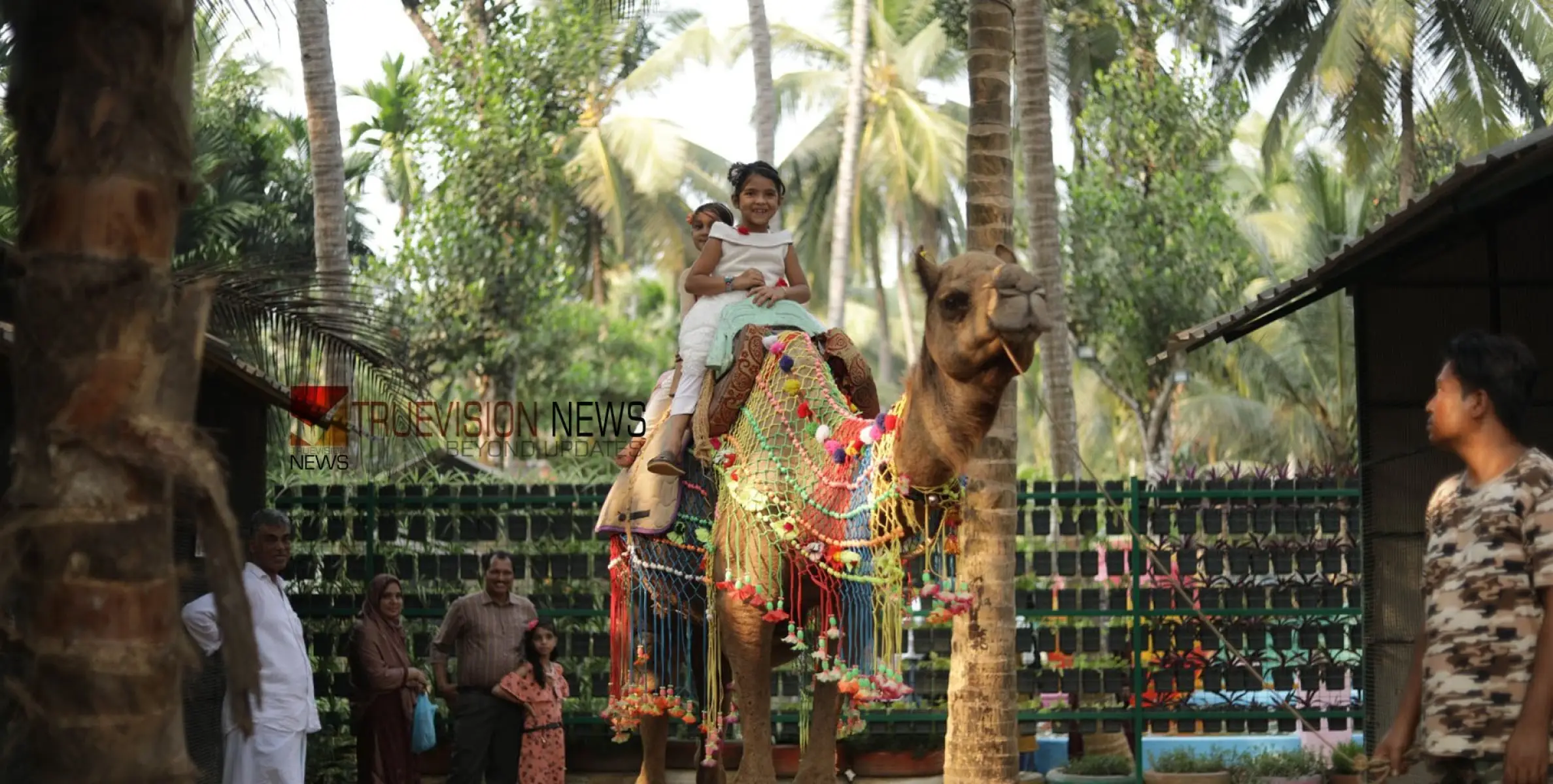 #agripark | മിതമായ നിരക്ക്; മികച്ച ഫാമിലി പാക്കേജുകൾ, വിനോദത്തിന്  ഇനി ചെലവേറില്ല