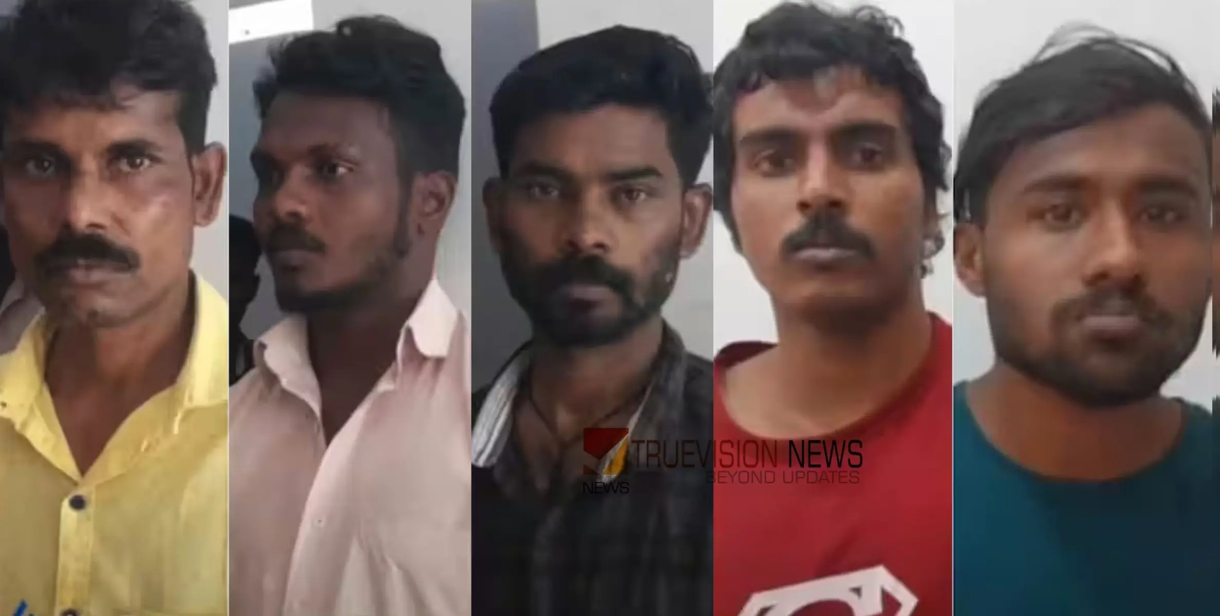 #cardamomtheft  | പൊന്നുംവിലയായതോടെ പച്ച ഏലക്ക മോഷണം പതിവ്; ഒരു ദിവസം പിടിയിലായത് അഞ്ച് പേർ 