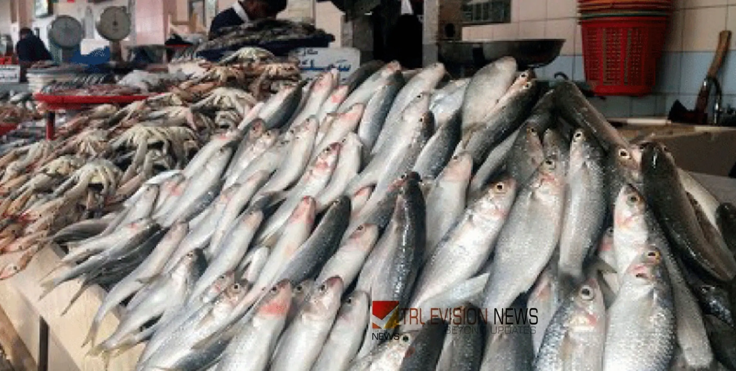 #fishmarket | മ​ത്സ്യ മാ​ർ​ക്ക​റ്റി​ൽ ലേ​ല ന​ട​പ​ടി​ക​ളി​ൽ ഭേ​ദ​ഗ​തി