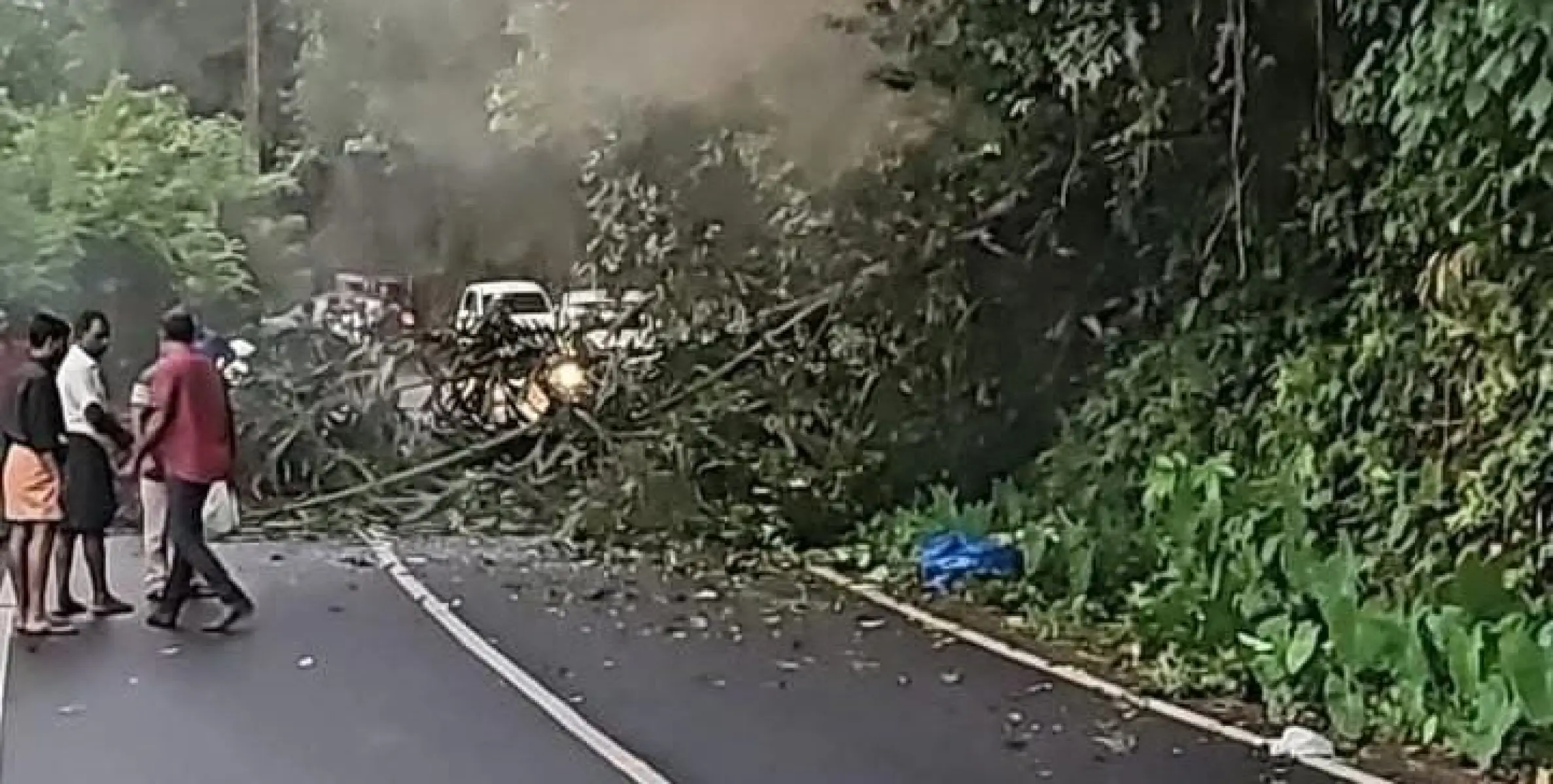 കാട്ടാന പന ബൈക്കിലേക്ക് മറിച്ചിട്ടു; വിദ്യാർത്ഥിനിക്ക് ദാരുണാന്ത്യം