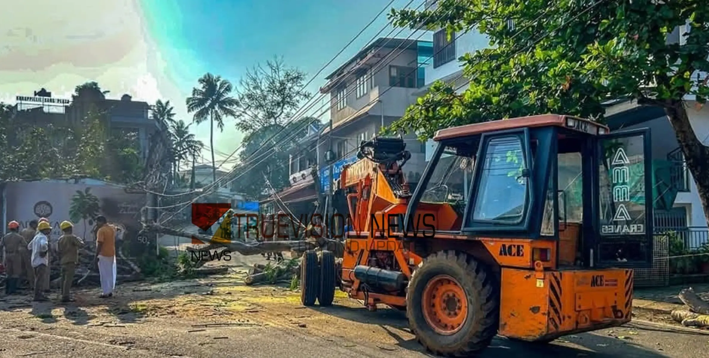 #injured | മരത്തിന്റെ ശിഖിരം മുറിക്കുന്നതിനിടെ മരം കടപുഴകി വീണു,  തൊഴിലാളിക്ക് പരിക്ക്