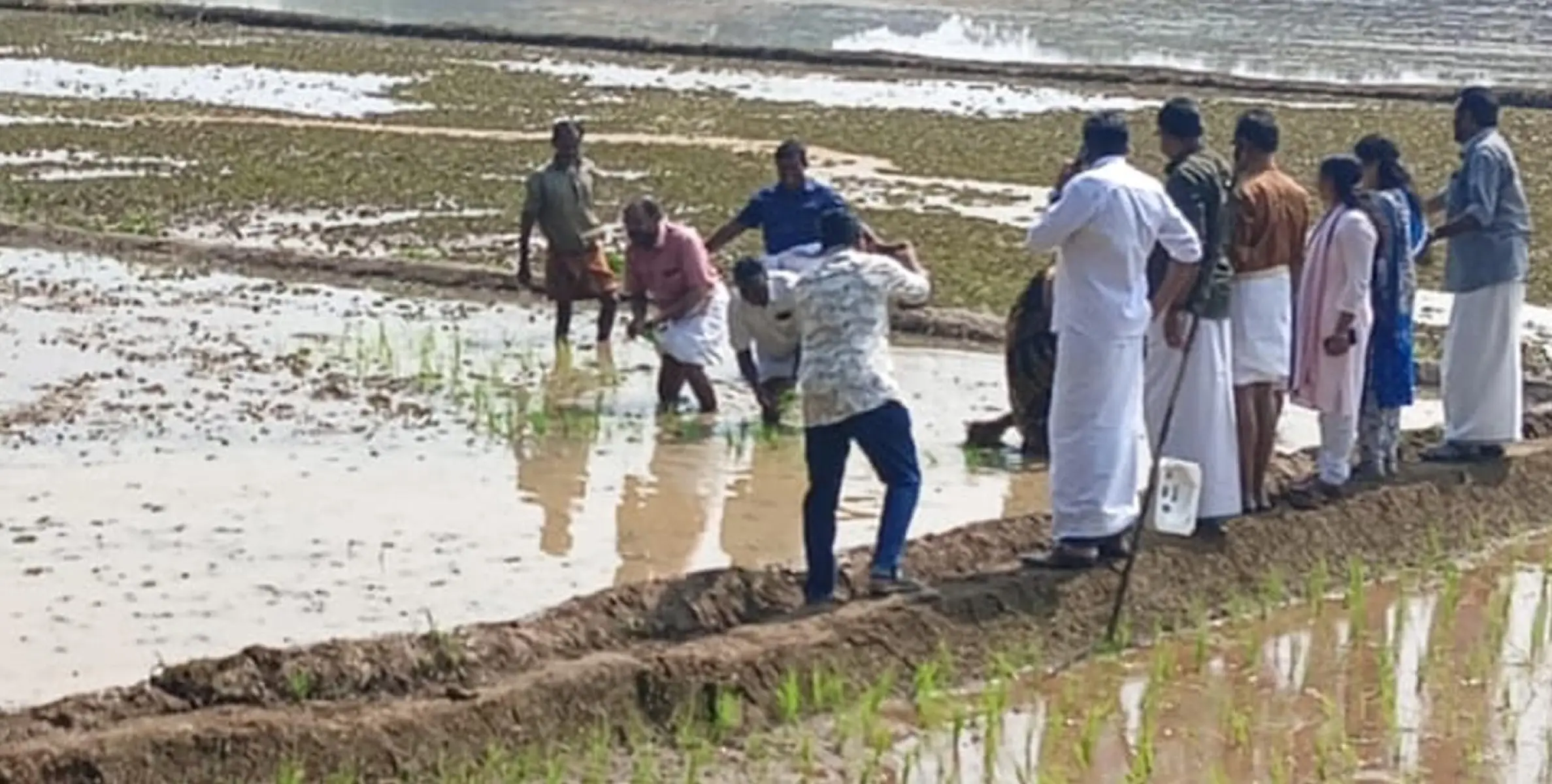 പിറവം സർവീസ് സഹകരണ ബാങ്ക് പാടത്തേക്ക്