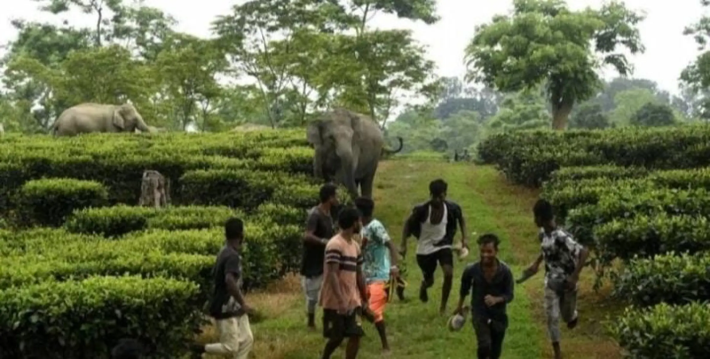 തുടര്‍ക്കഥയാകുന്ന വന്യജീവി ആക്രമണങ്ങള്‍; പലയിടത്തും ഫെന്‍സിങ് പ്രാരംഭഘട്ടത്തില്‍; വനംവകുപ്പിന് ഫണ്ട് അനുവദിക്കാന്‍ സര്‍ക്കാരിന് മെല്ലെപ്പോക്ക്