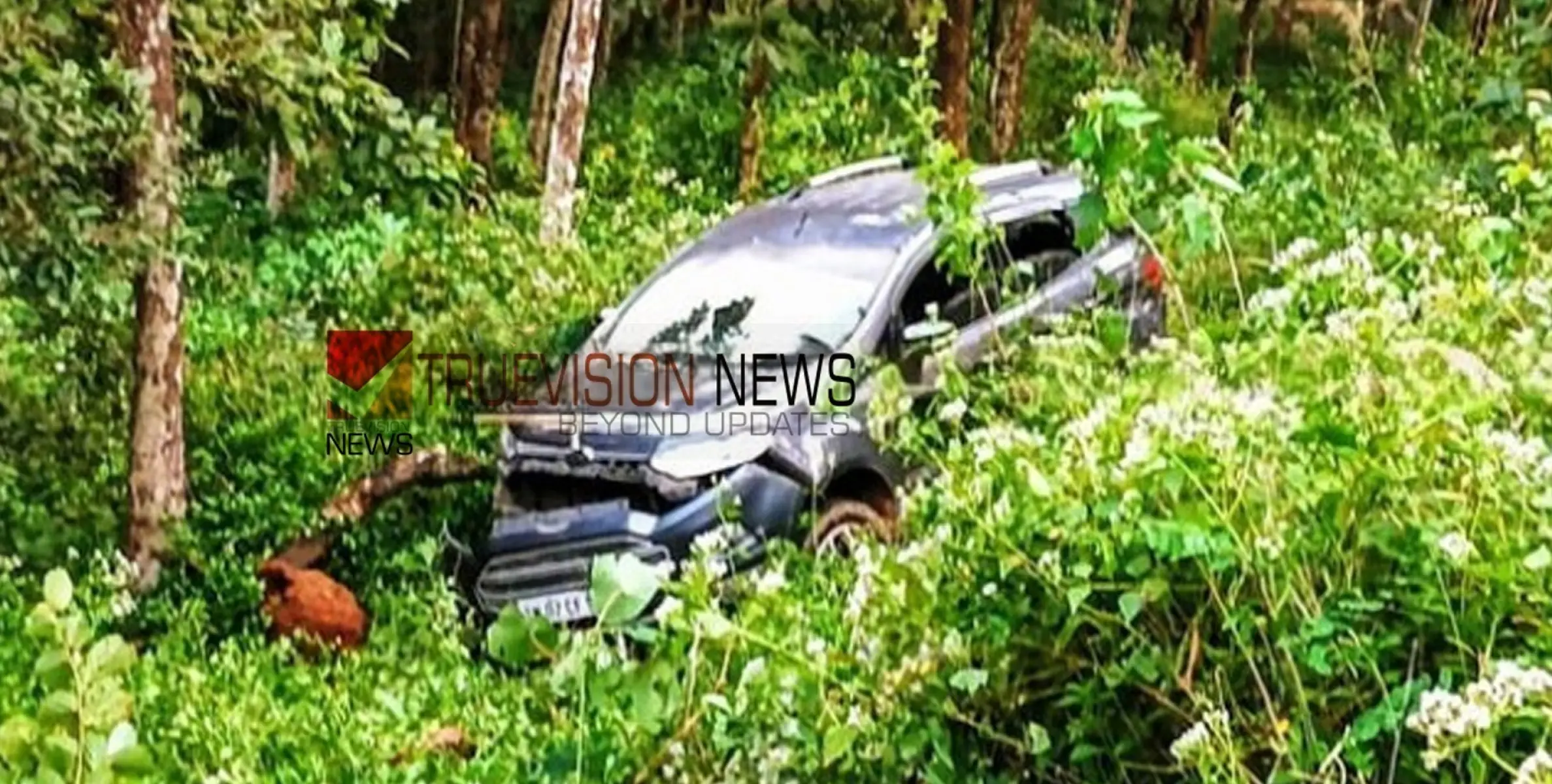 #accident |  നാദാപുരം ചെക്യാട് കാര്‍ കൊക്കയിലേക്ക് മറിഞ്ഞു; രണ്ട് പേര്‍ക്ക് പരിക്ക്