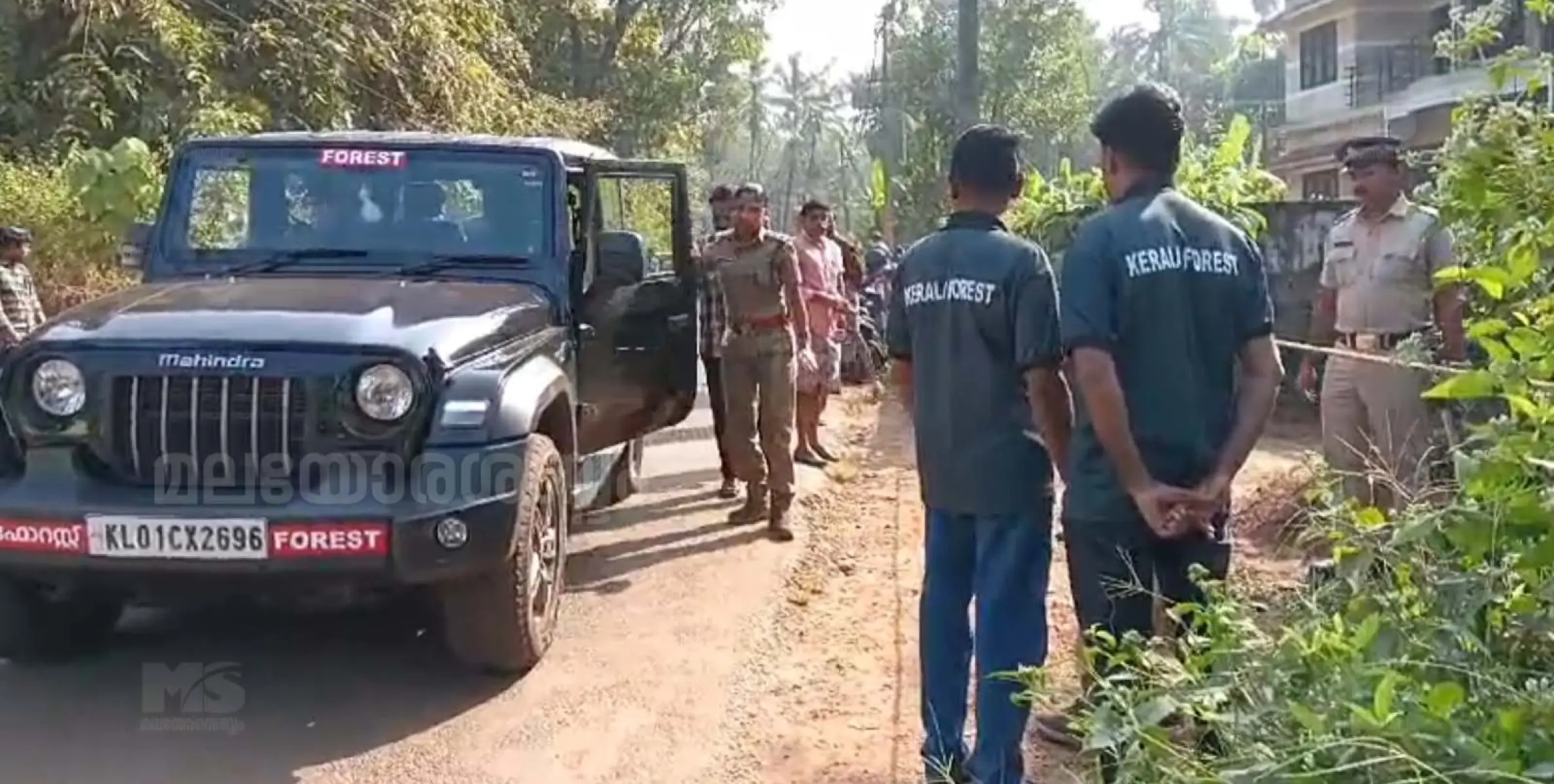 കാക്കയങ്ങാട്ടെ പുലിയെ മയക്ക് വെടി  വെക്കാൻ ദൗത്യസംഘം എത്തി