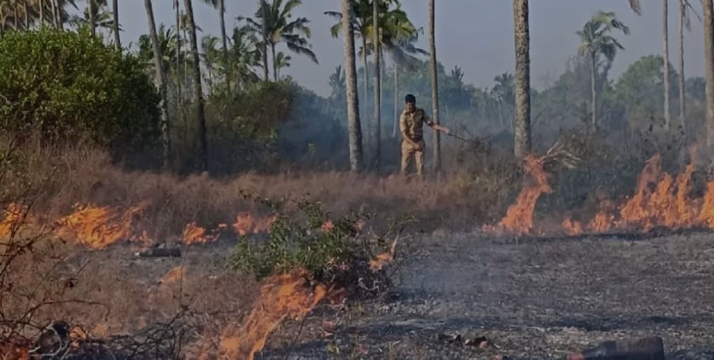 പൊയിൽക്കാവ് ബീച്ചിന് സമീപമുള്ള കടലോരത്തെ അടിക്കാടുകൾക്ക് തീപിടിച്ചു....