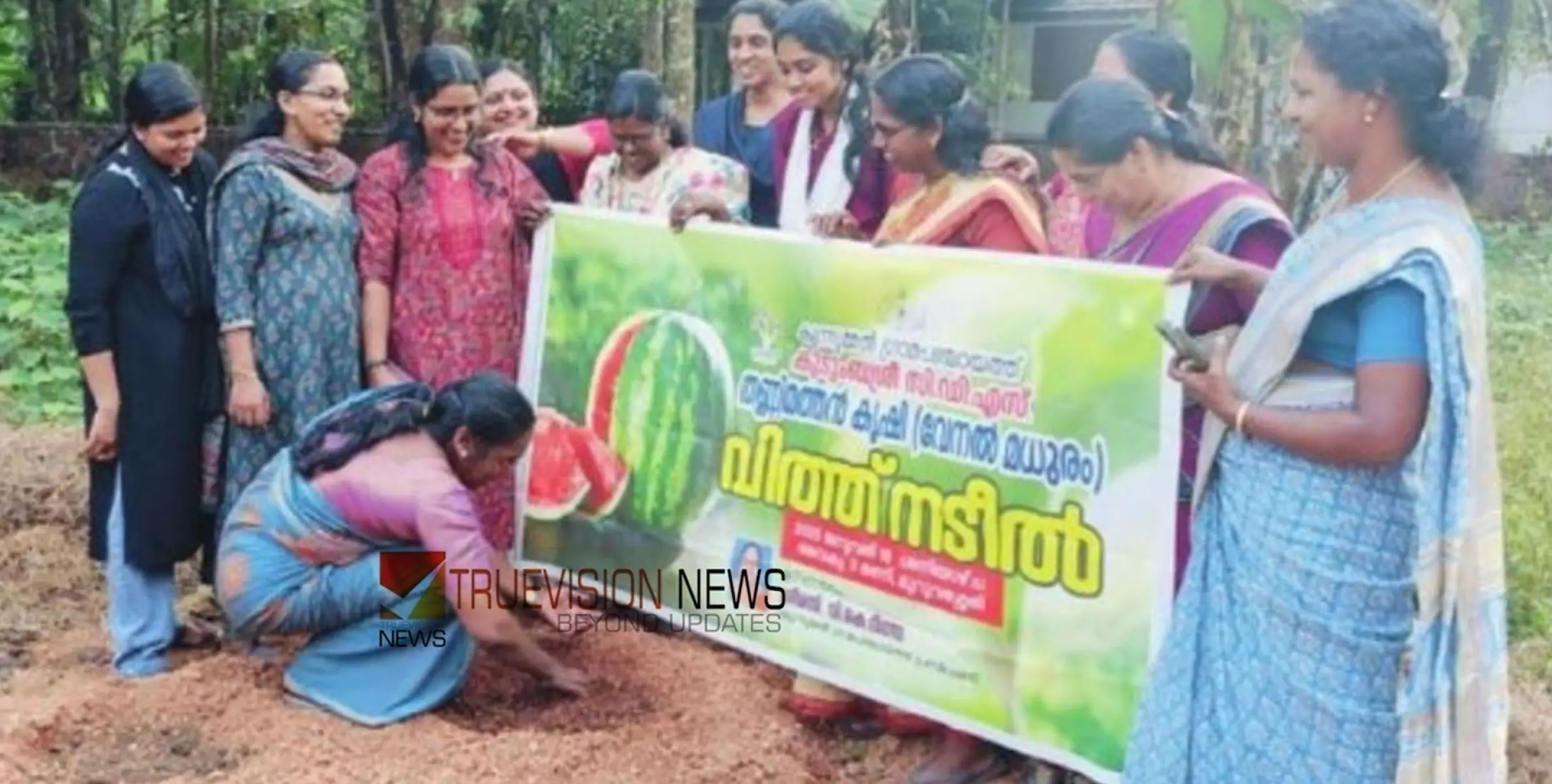 വേനല്‍ മധുരം; മുറുവശ്ശേരിയില്‍ തണ്ണിമത്തന്‍ കൃഷി ആരംഭിച്ചു