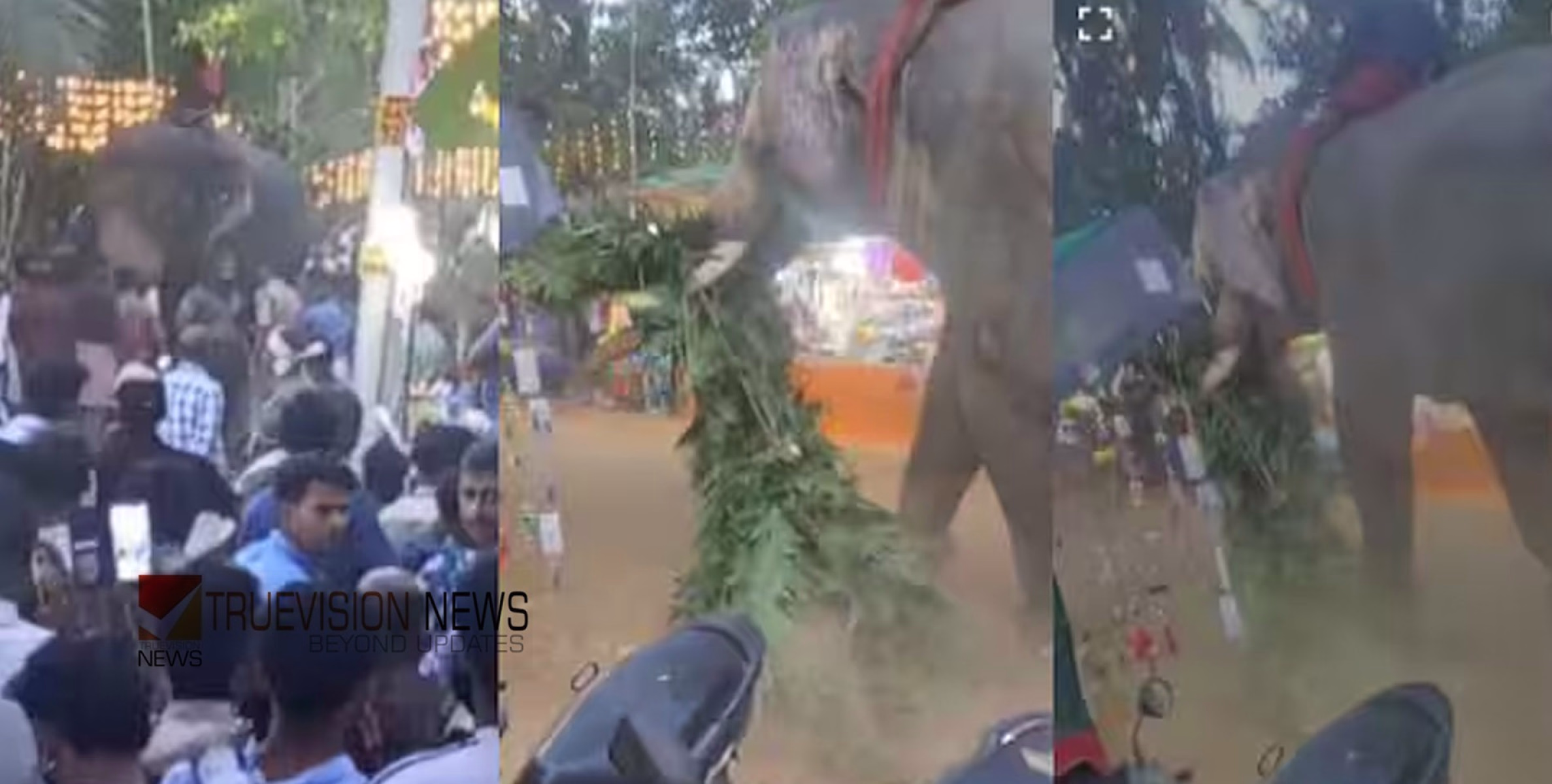 പൂരത്തിനിടെ വീണ്ടും കീഴൂട്ട് വിശ്വനാഥൻ ഇടഞ്ഞു, പേടിച്ച് ഓടിയ 63 കാരിക്ക് വീണ് പരിക്കേറ്റു