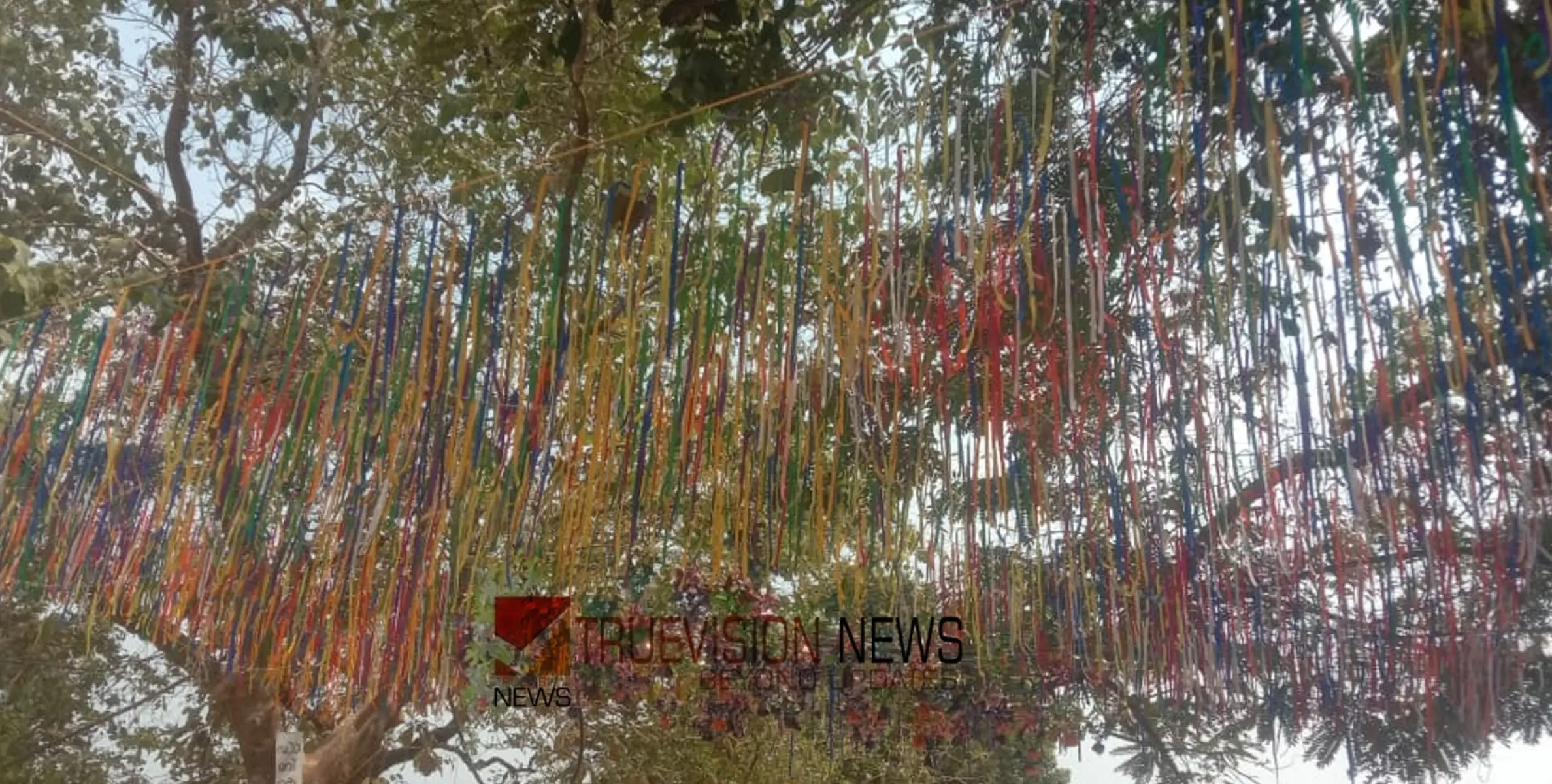 പ്രധാന വേദി അലങ്കാരങ്ങളാൽ സമ്പന്നം 