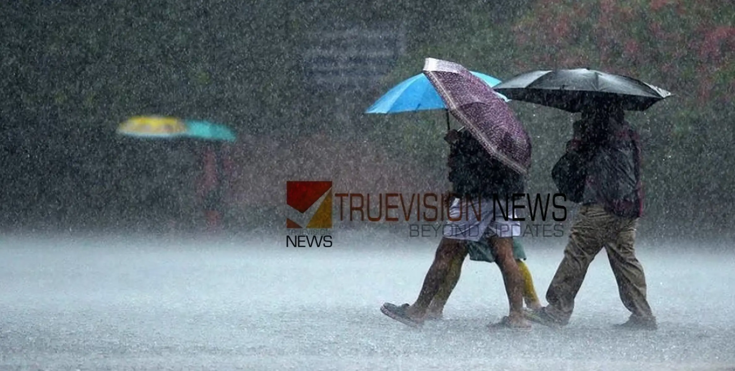 തെക്കൻ കേരളത്തിൽ ഇടിമിന്നലോടു കൂടിയ മഴയ്ക്ക്  സാധ്യത 