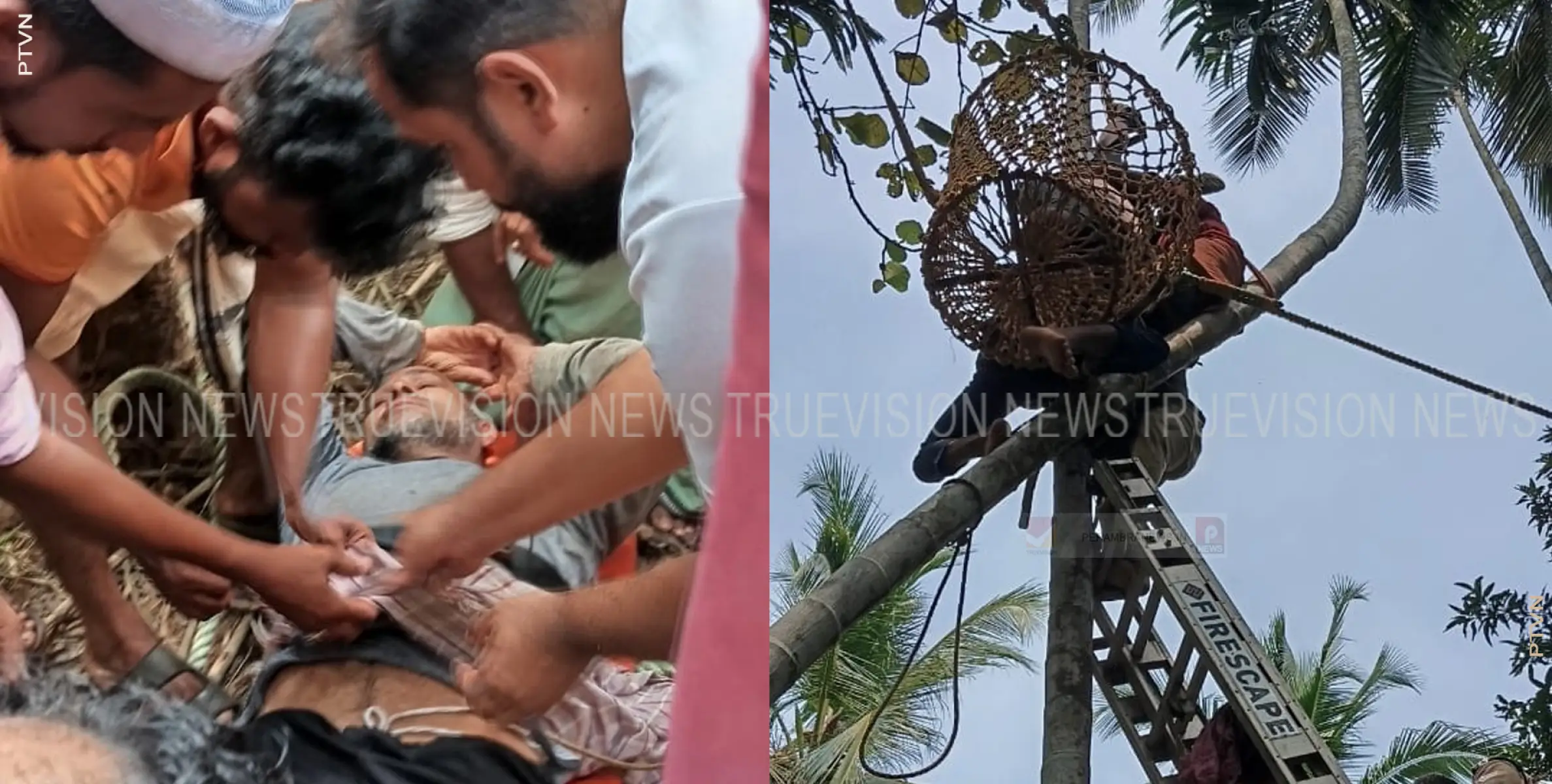 അടക്ക പറിക്കാൻ കവുങ്ങില്‍ കയറിയ വയോധികൻ തല കീഴായി കുടുങ്ങി