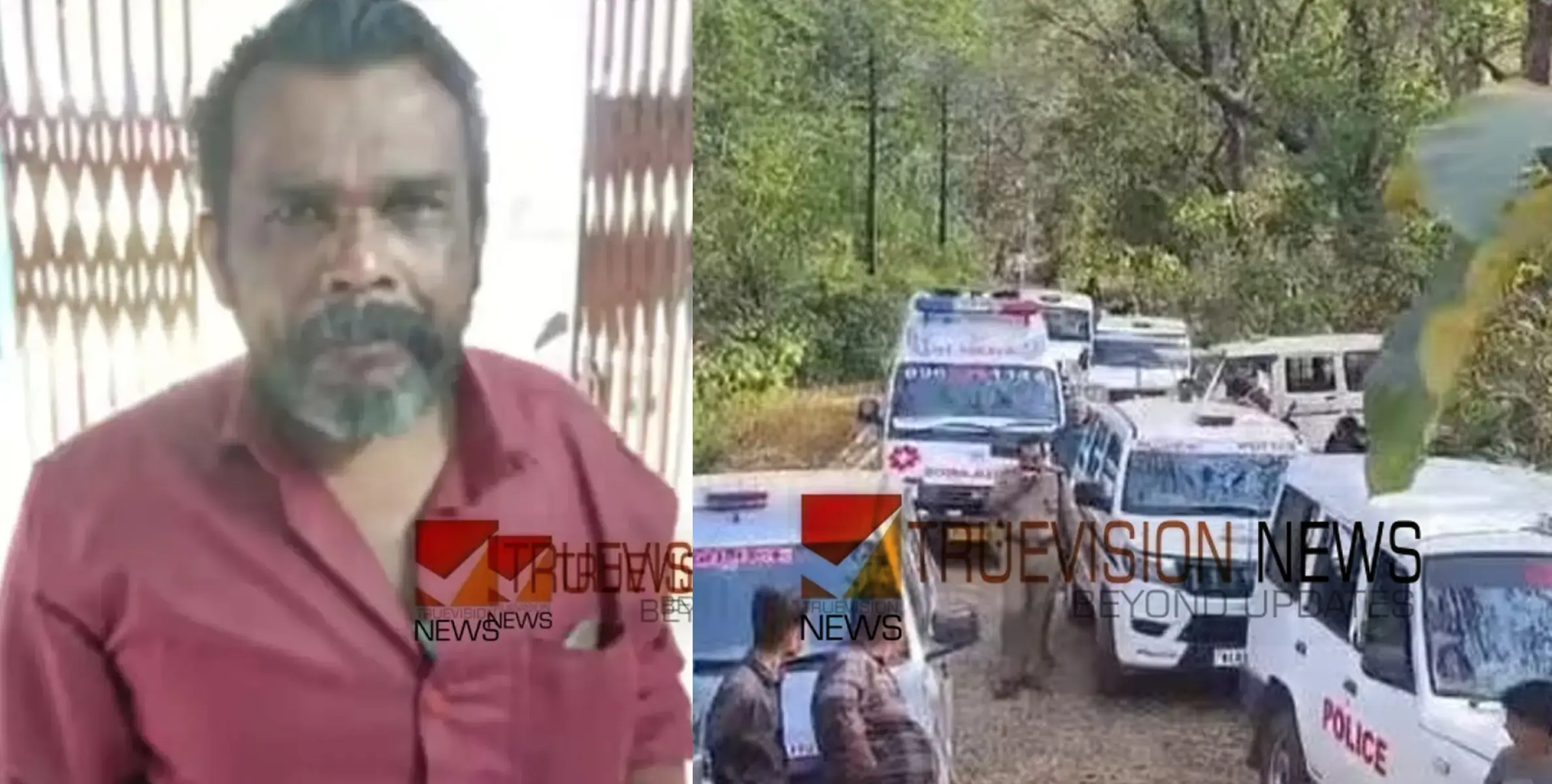 മൃതദേഹം കൊണ്ടുപോയത് പന്നിയിറച്ചിയെന്ന് പറഞ്ഞ്, ദേഹം പുഴുവരിച്ച നിലയിൽ, മൂലമറ്റത്തെ കൊലപാതകത്തിൽ വിശദമായ അന്വേഷണം  