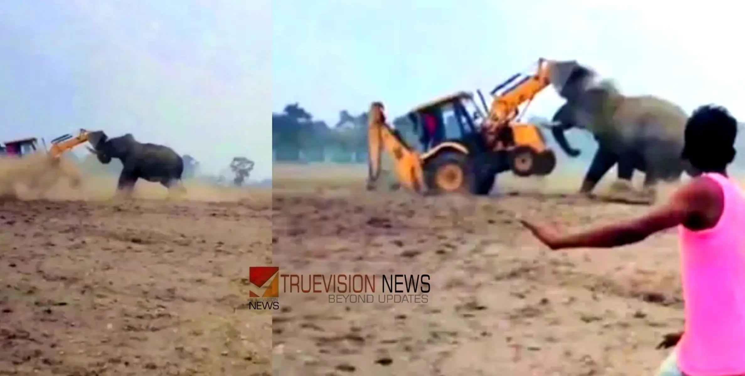 ആൾക്കൂട്ടം പ്രകോപിപ്പിച്ചു; ജെസിബി മെഷീനുമായി കൊമ്പ് കോർത്ത് കാട്ടാന,  ഒരാൾക്കെതിരെ കേസ് 
