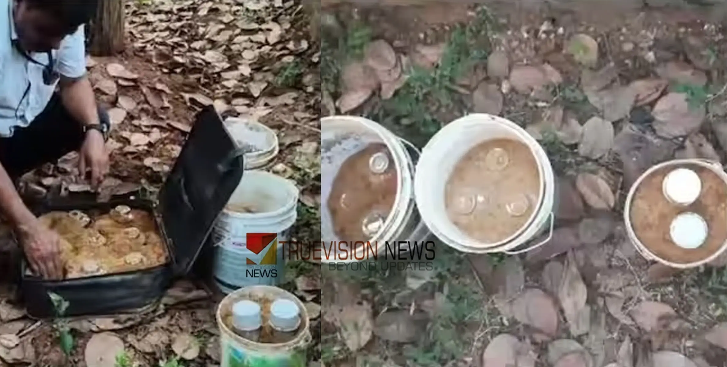 ചെക്യാട് കായലോട്ട് താഴെ കലുങ്കിനടിയിൽ സൂക്ഷിച്ച നിലയിൽ വൻ ആയുധ ശേഖരം കണ്ടെത്തി
