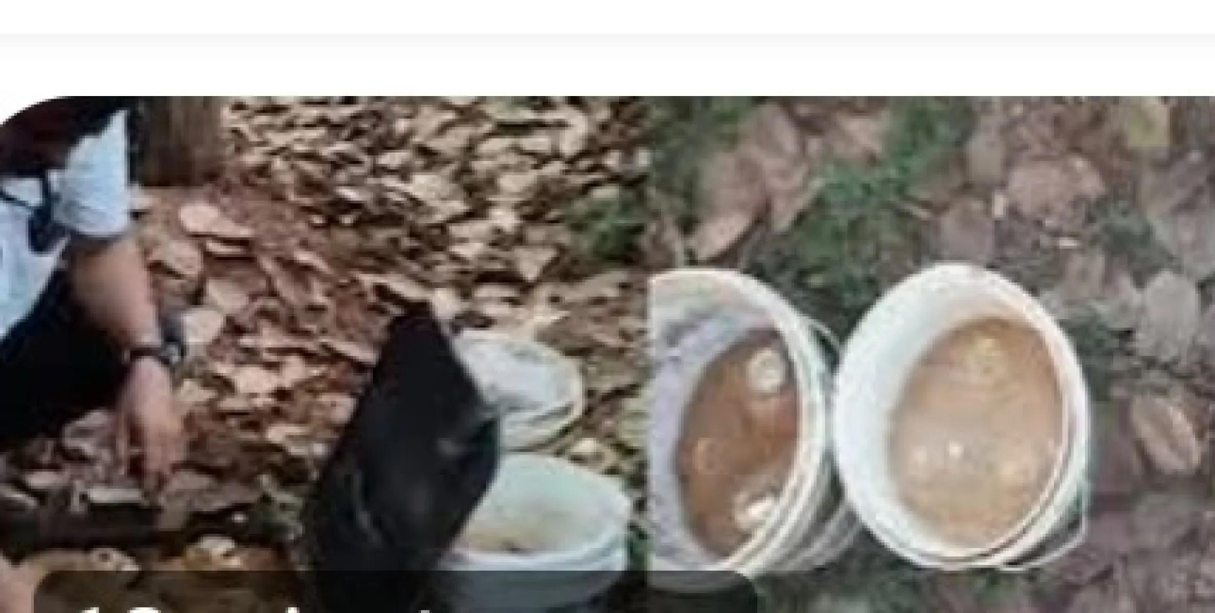 കോഴിക്കോട് ചെക്യോട് കലുങ്കിനടിയിൽ സൂ​ക്ഷിച്ച നിലയിൽ വൻ ആയുധ ശേഖരം കണ്ടെത്തി