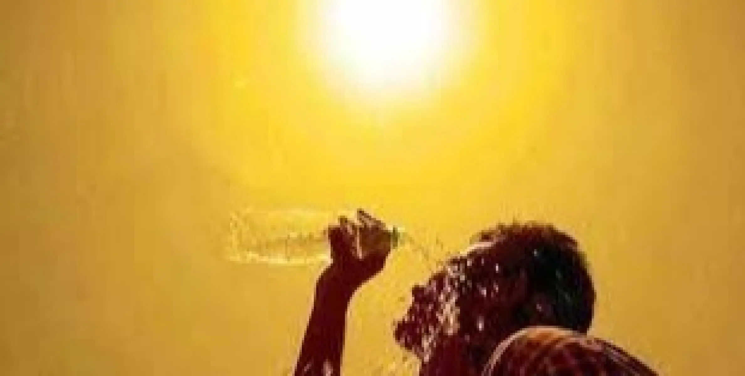 സംസ്ഥാനത്ത് ഇന്നും  പകൽ താപനില ഉയരാൻ  സാധ്യത 