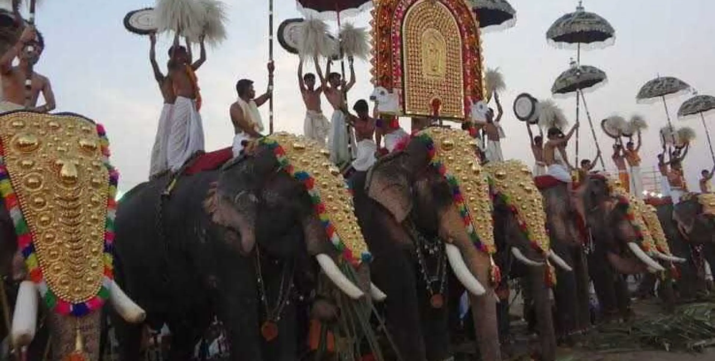 ആന എഴുന്നള്ളത്ത്: ഹൈക്കോടതി ഉത്തരവിനെതിരെ പൂരപ്രേമി സംഘം സുപ്രീം കോടതിയിൽ
