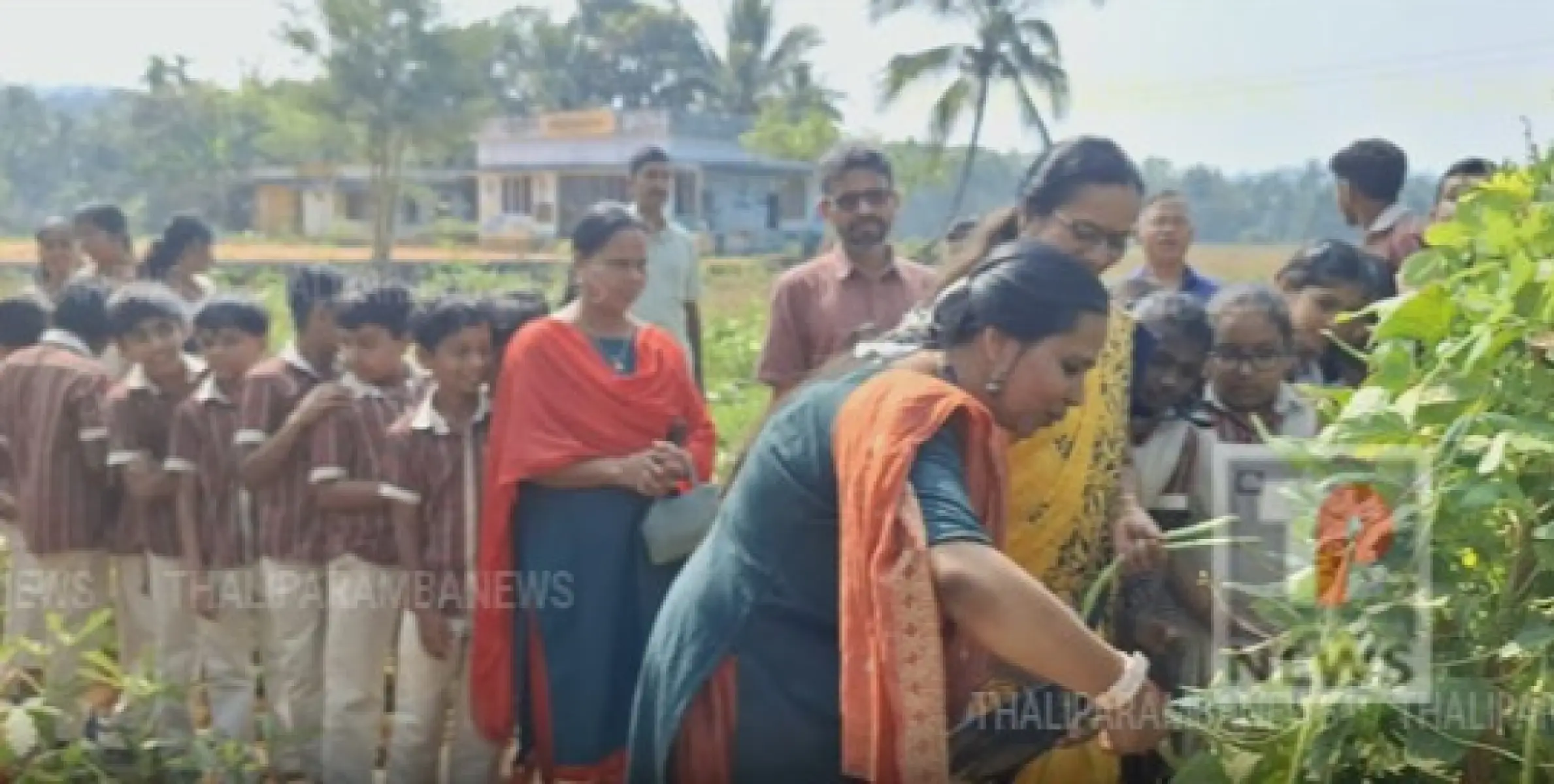 പാച്ചേനി ഗവൺമെന്റ് ഹൈസ്കൂളിലെ നൂൺ മീൽ ഗാർഡൻ വിളവെടുപ്പ് ഉത്സവം സംഘടിപ്പിച്ചു