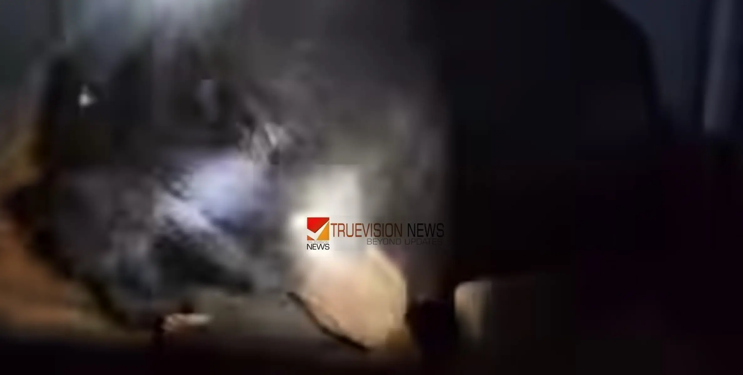 ആശ്വാസം, മലപ്പുറത്ത് ജനവാസ മേഖലയിലിറങ്ങിയ കരടി കൂട്ടിലായി
