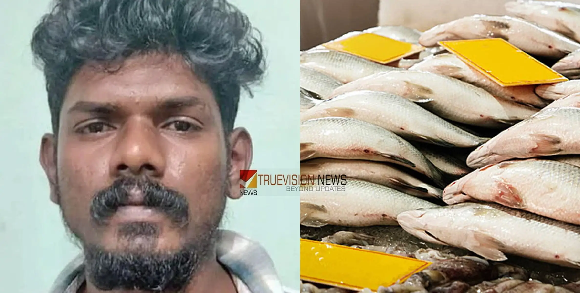മീനേ...; കൂവല്‍ ഇഷ്ടപ്പെട്ടില്ല, മീന്‍വില്‍പ്പനക്കാരനെ പട്ടികകൊണ്ട് അടിച്ച യുവാവ്‌ അറസ്റ്റില്‍