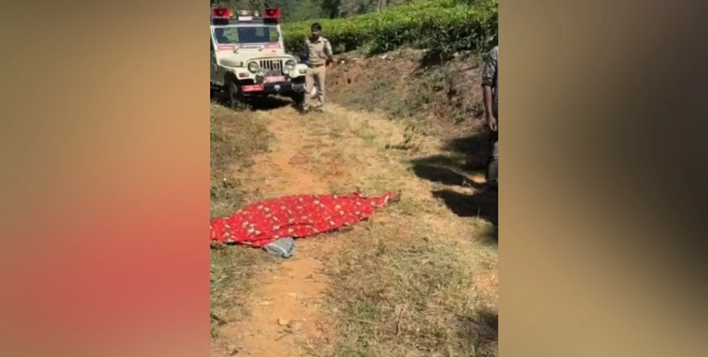 സംസ്ഥാനത്ത് വീണ്ടും കാട്ടാന ആക്രമണം; 27 വയസുകാരന് ദാരുണാന്ത്യം