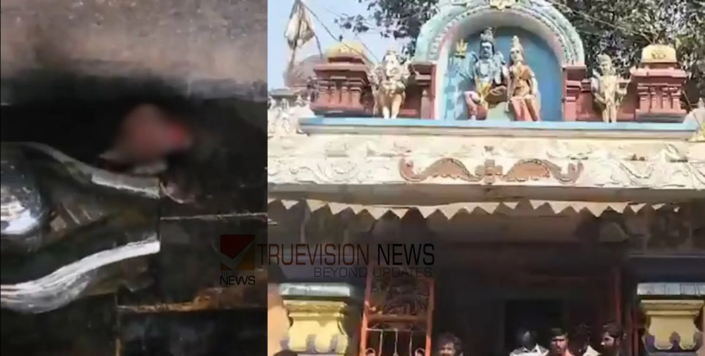 ക്ഷേത്രത്തിൽ മാംസം കണ്ടെത്തിയ സംഭവം; യഥാര്‍ത്ഥ പ്രതിയെ കണ്ടെത്തി പൊലീസ്