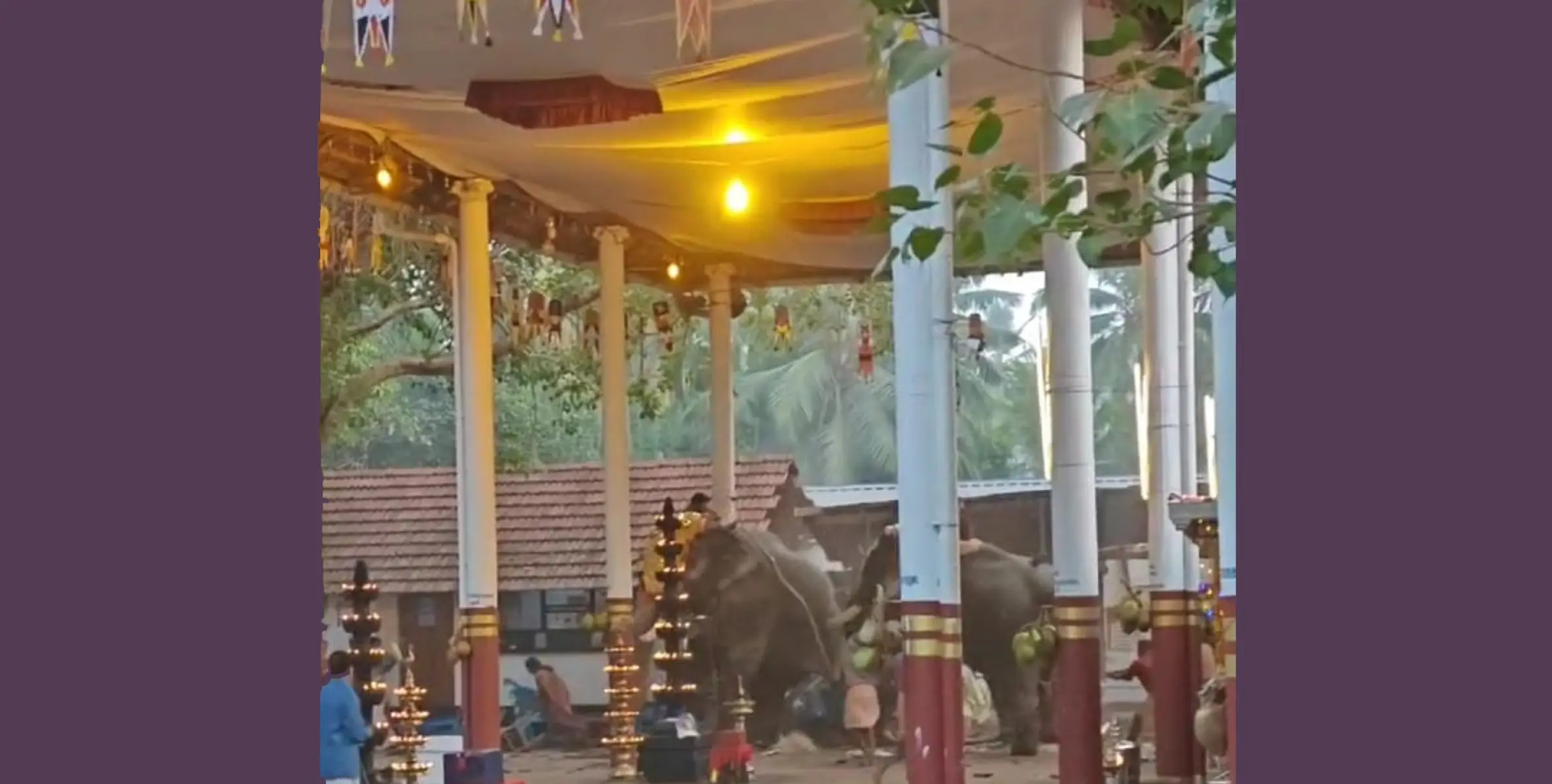 കൊയിലാണ്ടി കുറുവങ്ങാട്  മണക്കുളങ്ങര ക്ഷേത്ര ഉഝവത്തിനിടെ ആന വിരണ്ടു ; രണ്ട് പേർക്ക് ദാരുണാന്ത്യം