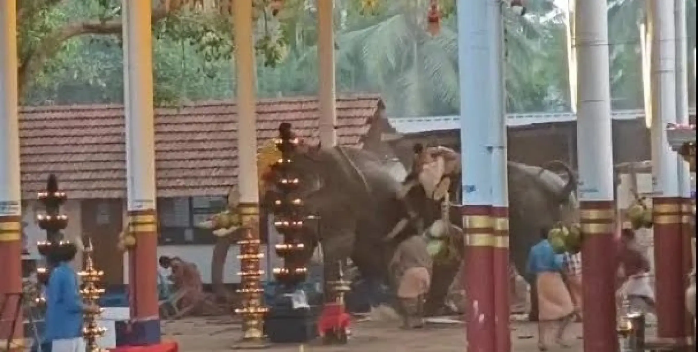 കൊയിലാണ്ടിയിൽ ഉത്സവത്തിനിടെ ആന ഇടഞ്ഞ സംഭവം: മരണം 3 ആയി